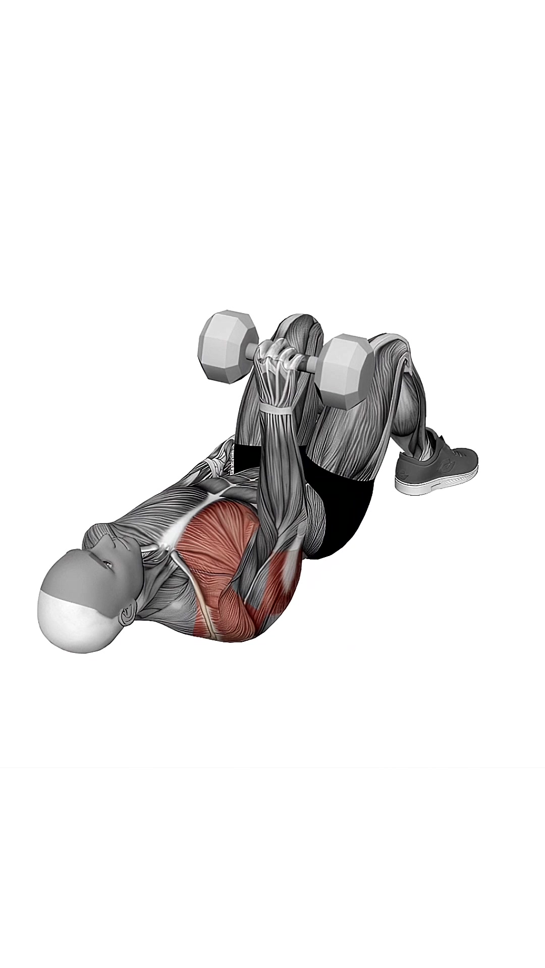 Dumbbell Single Arm Floor Press From Close Elbow