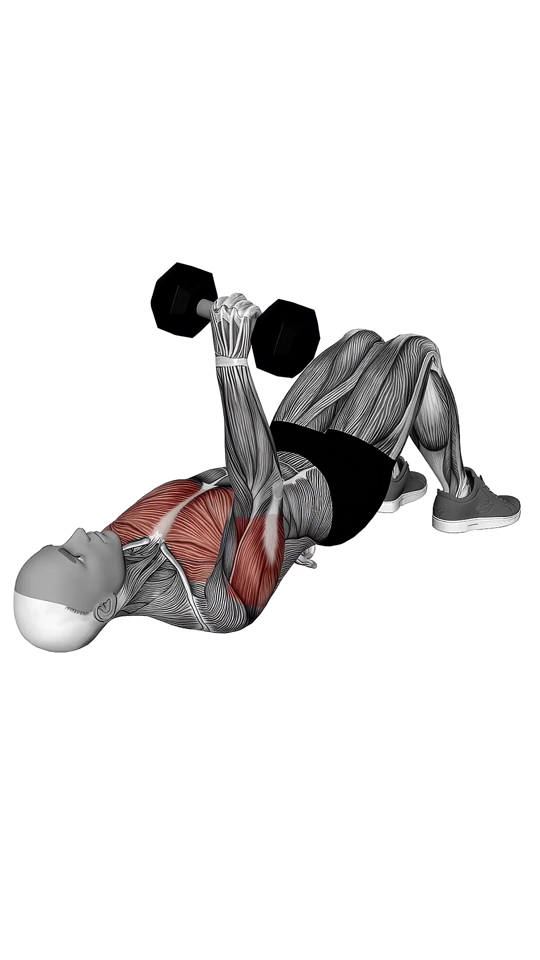 Dumbbell Single Arm Floor Press