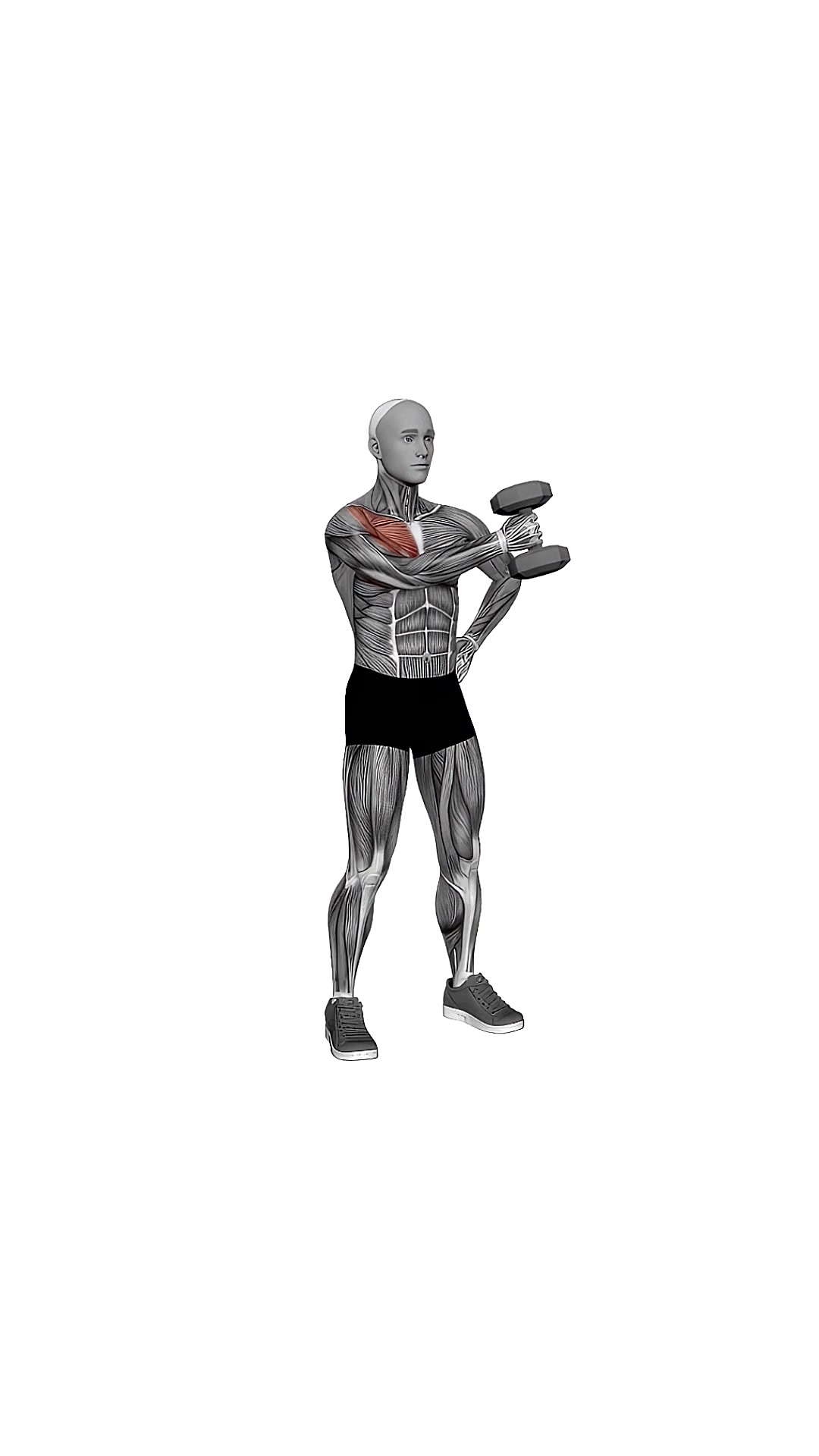 Dumbbell Standing Single Arm Cross Raise