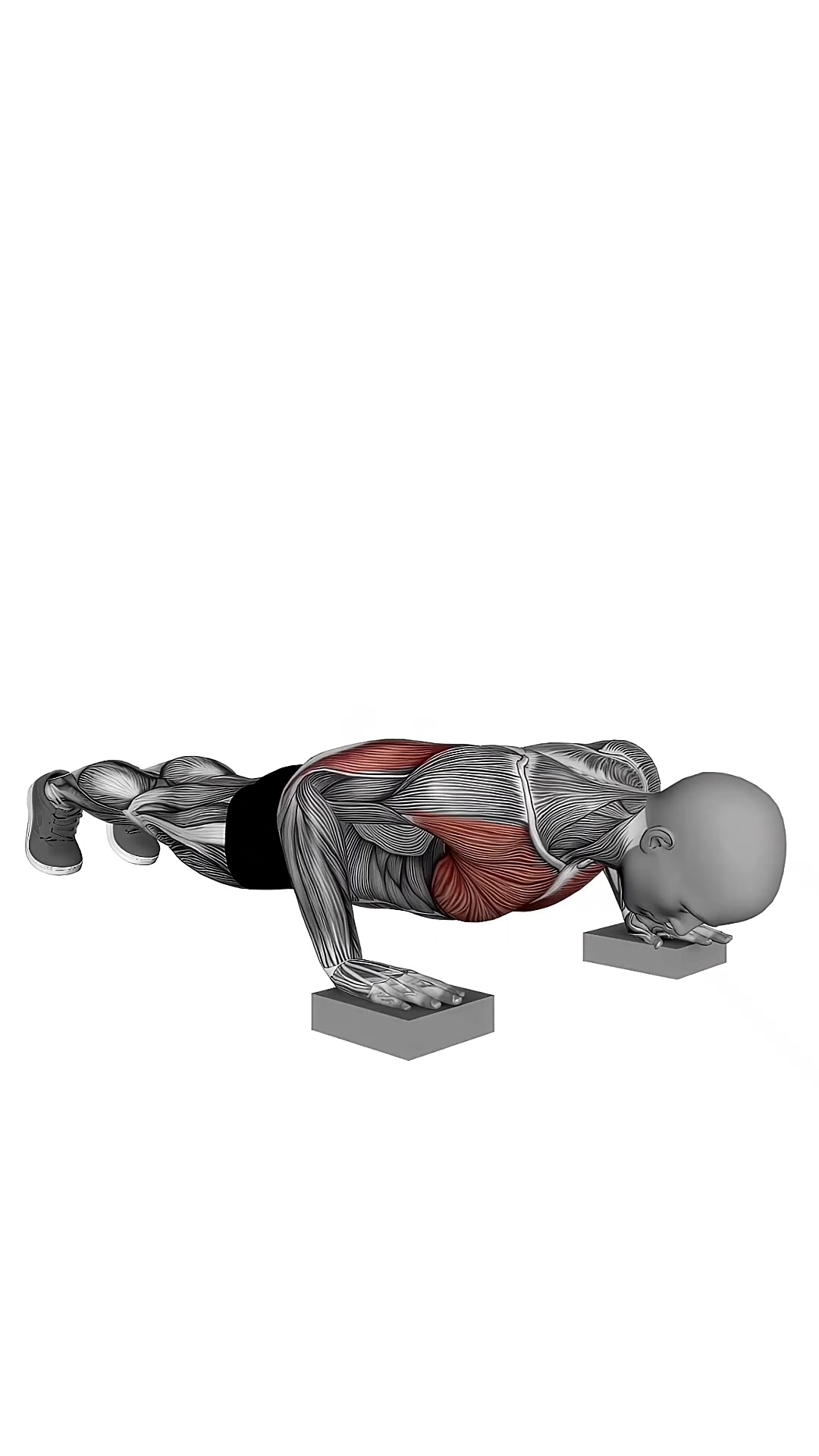 Elevated Push Up