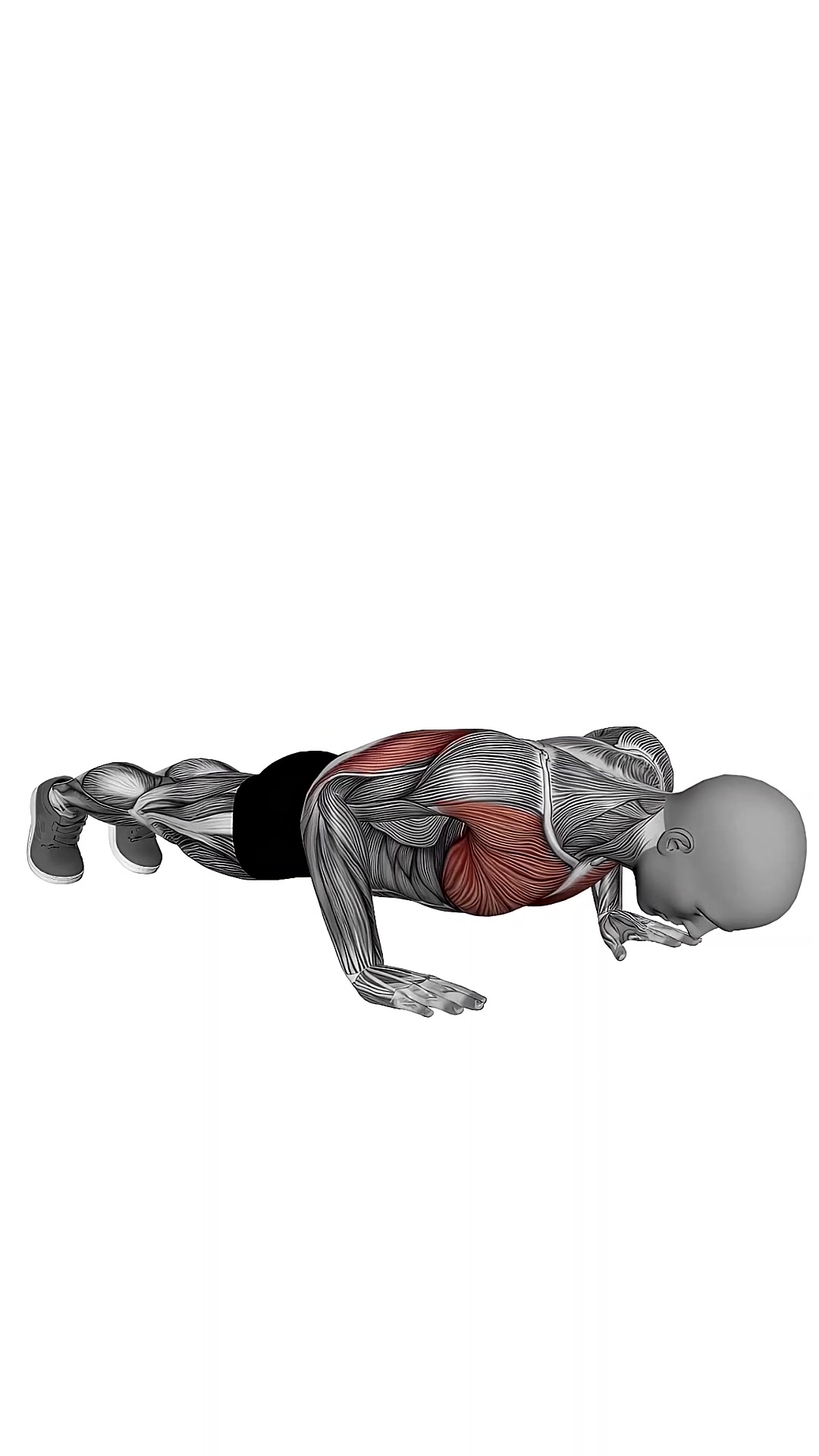Explosive Push Ups