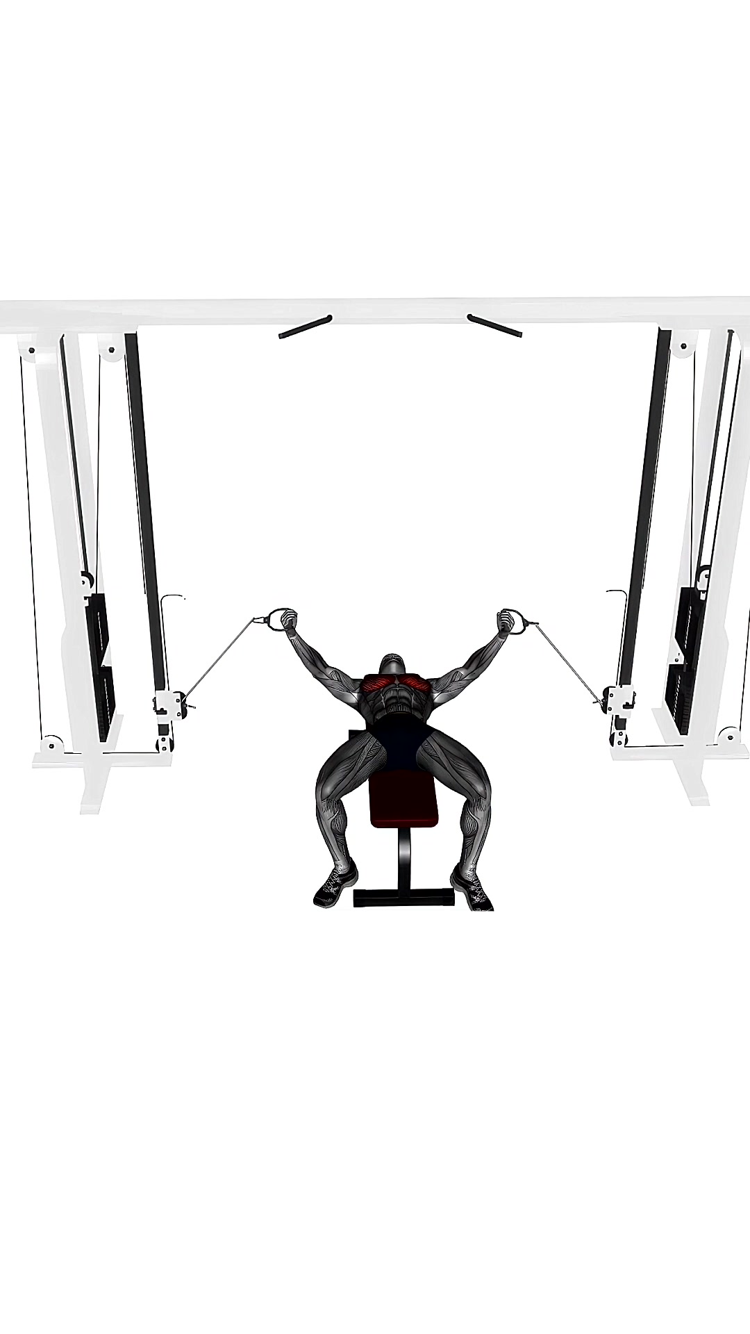 Flat Bench Cable Fly
