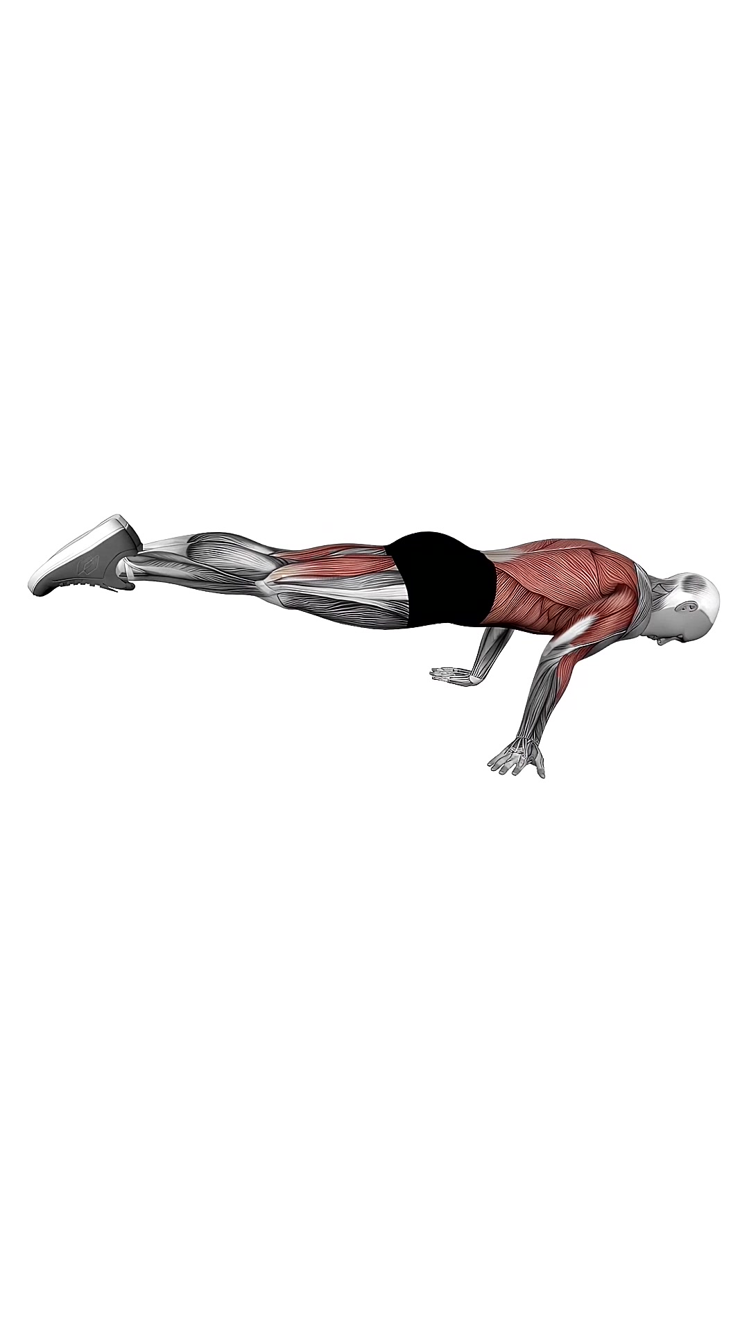 Full Planche Push Up