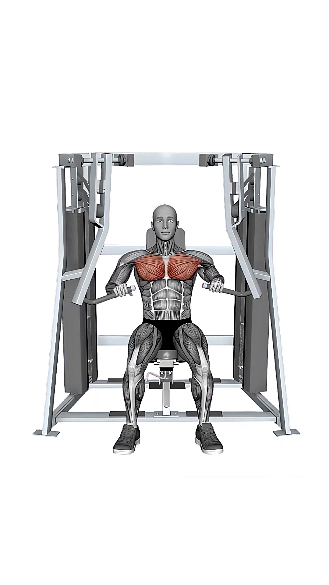 Hammer Strength Mts Iso-lateral Decline Press Alternate Arms