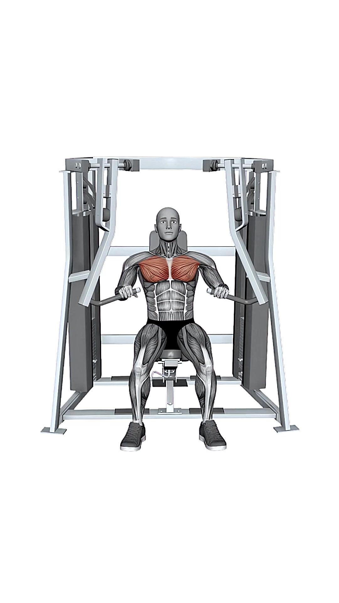 Hammer Strength Mts Iso-lateral Decline Press Both Arms