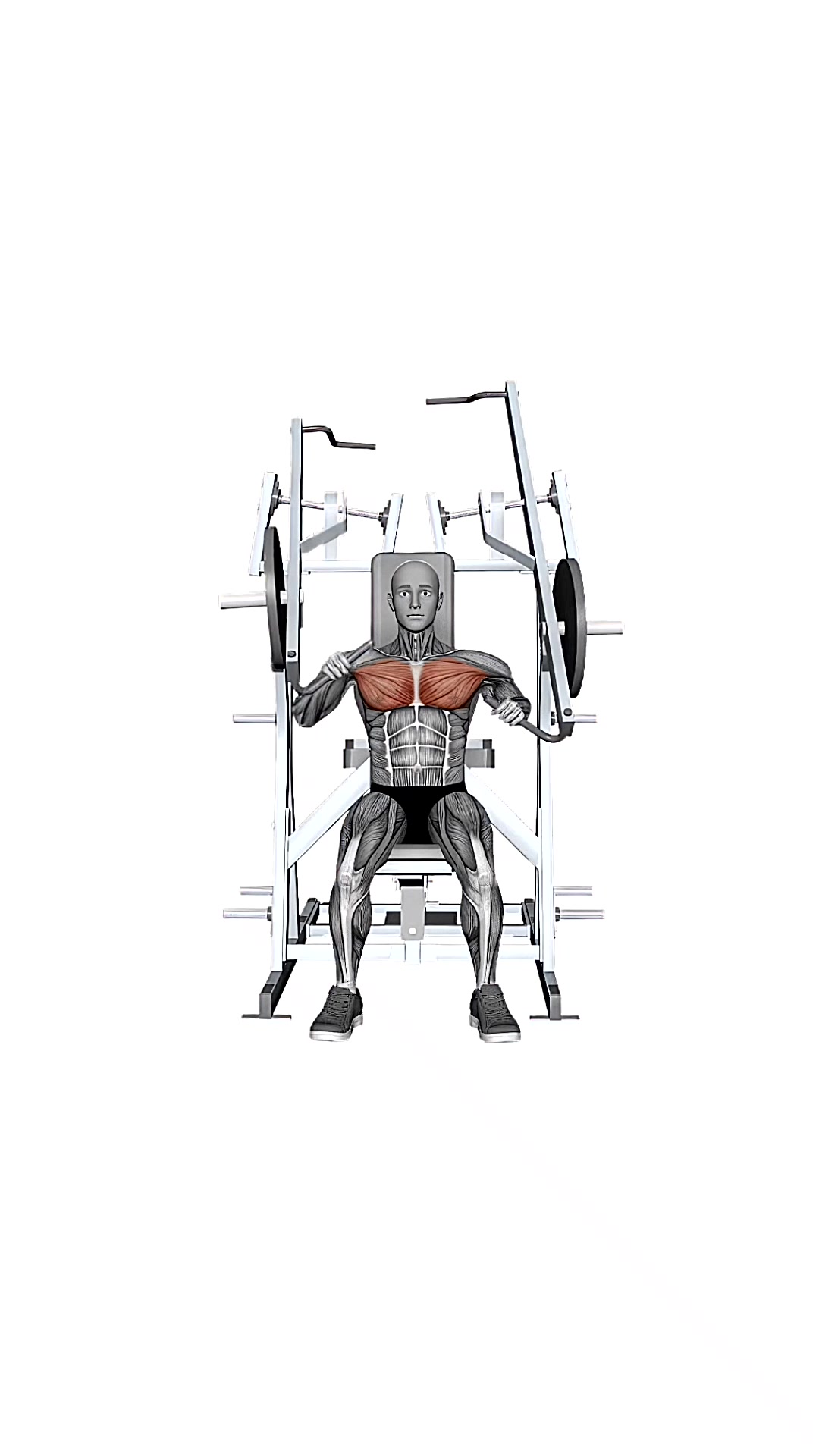Hammer Strength Plate-loaded Combination Iso-lateral Chest - Chest Press Alternating Arms