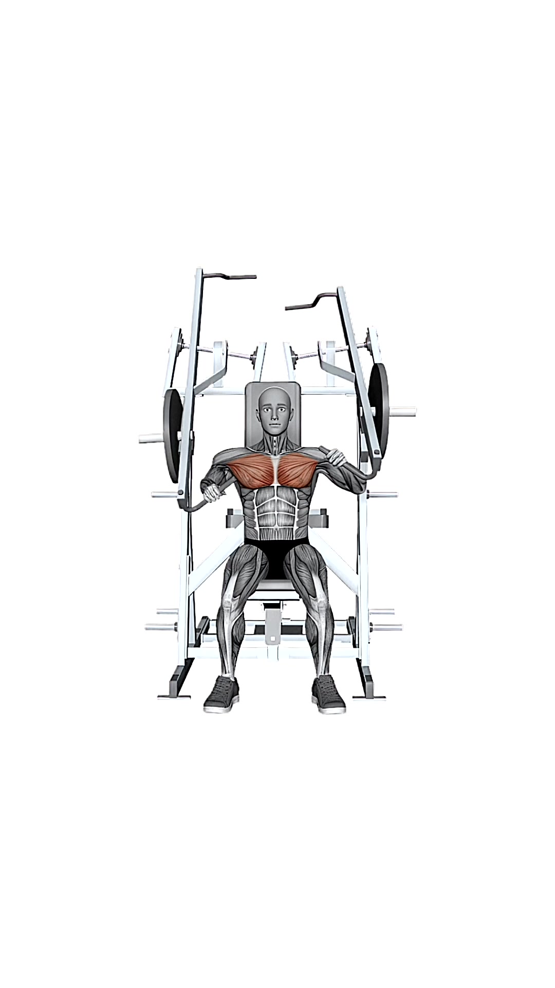 Hammer Strength Plate-loaded Combination Iso-lateral Chest - Chest Press Single Arm