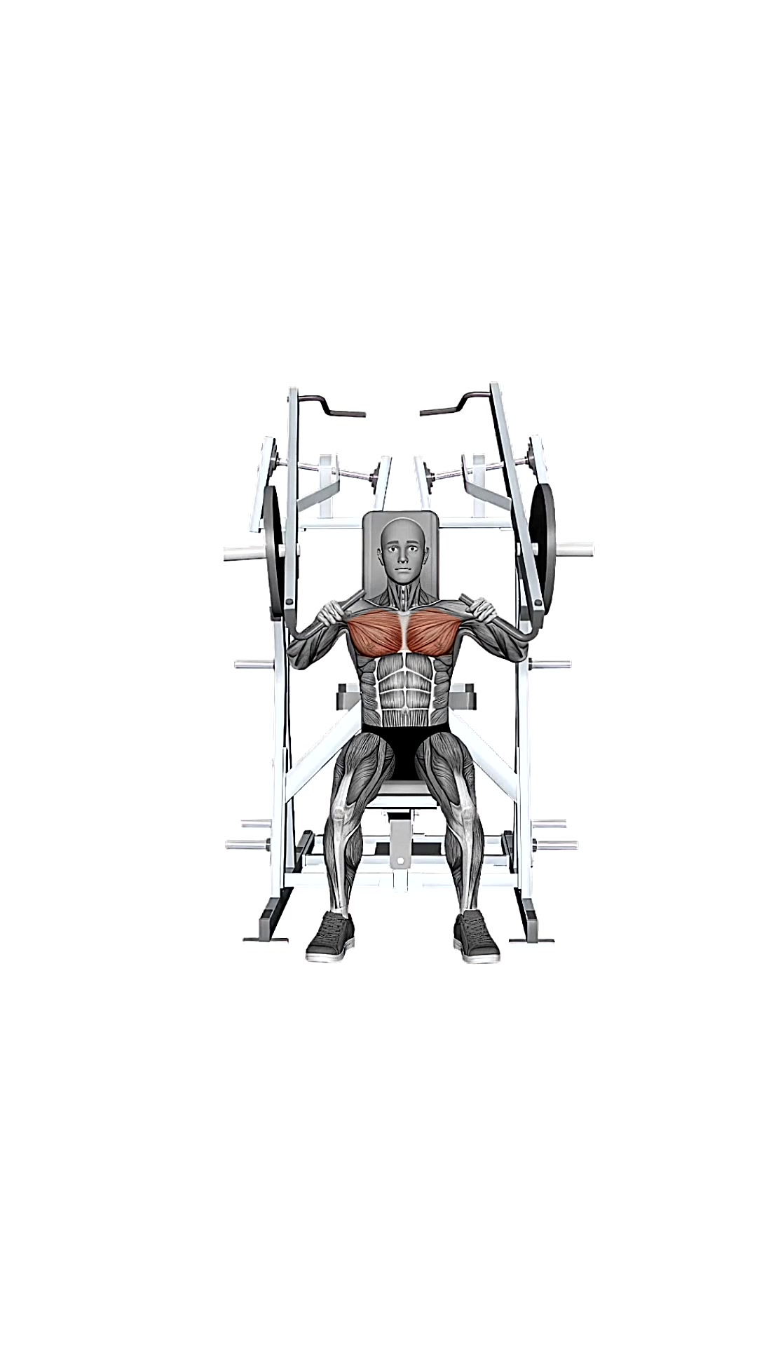 Hammer Strength Plate-loaded Combination Iso-lateral Chest - Chest Press