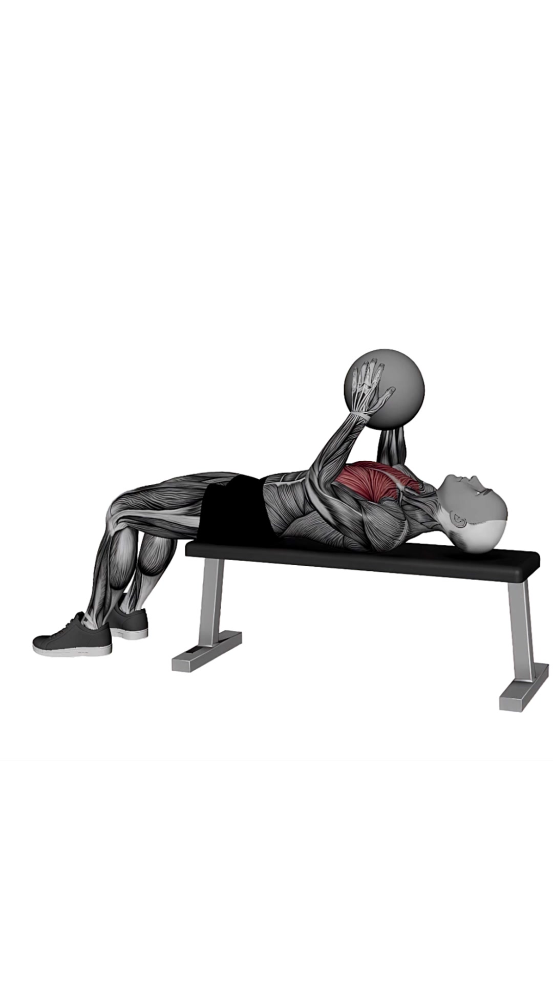 Hold The World Med Ball Chest Press