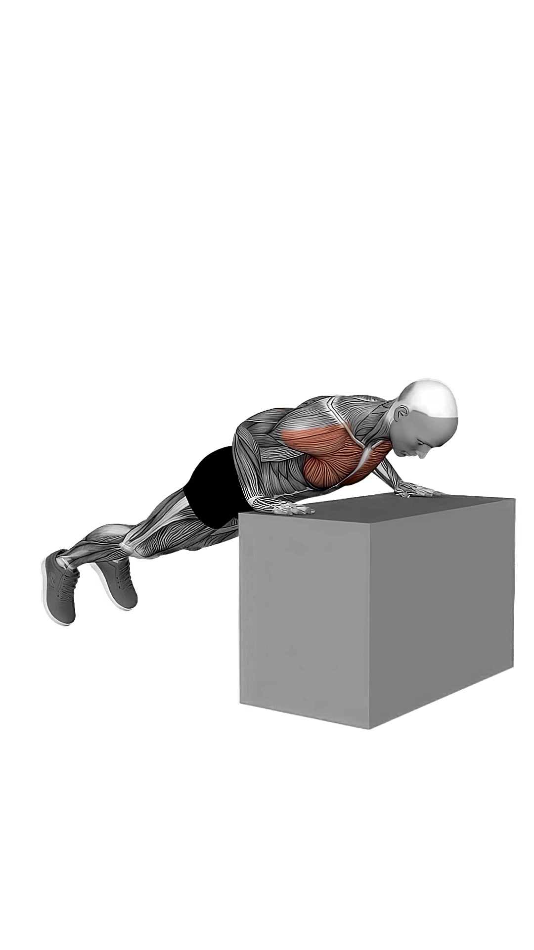 Incline Push-up (on Box)