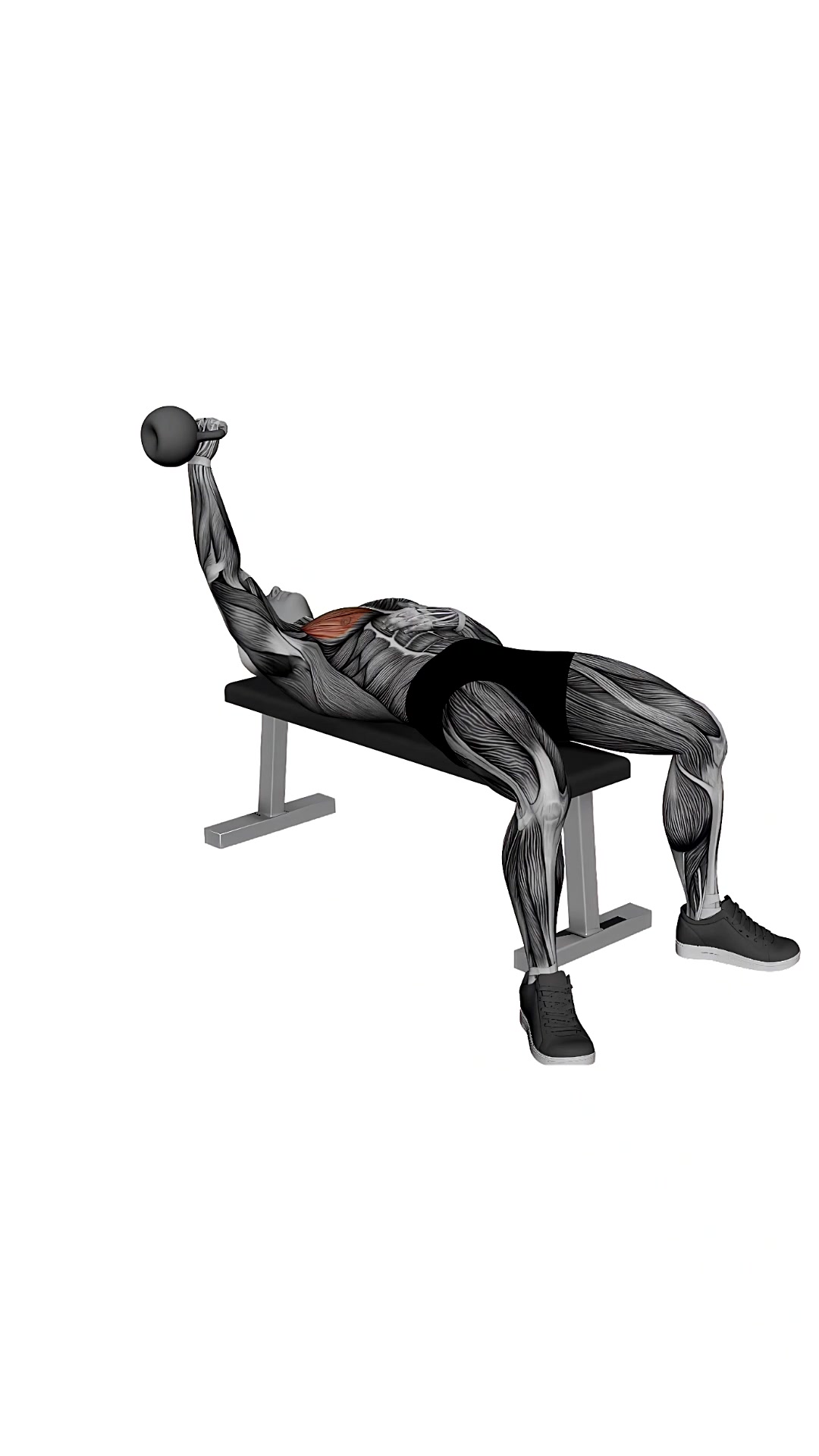 Kettlebell Single Arm Chest Fly