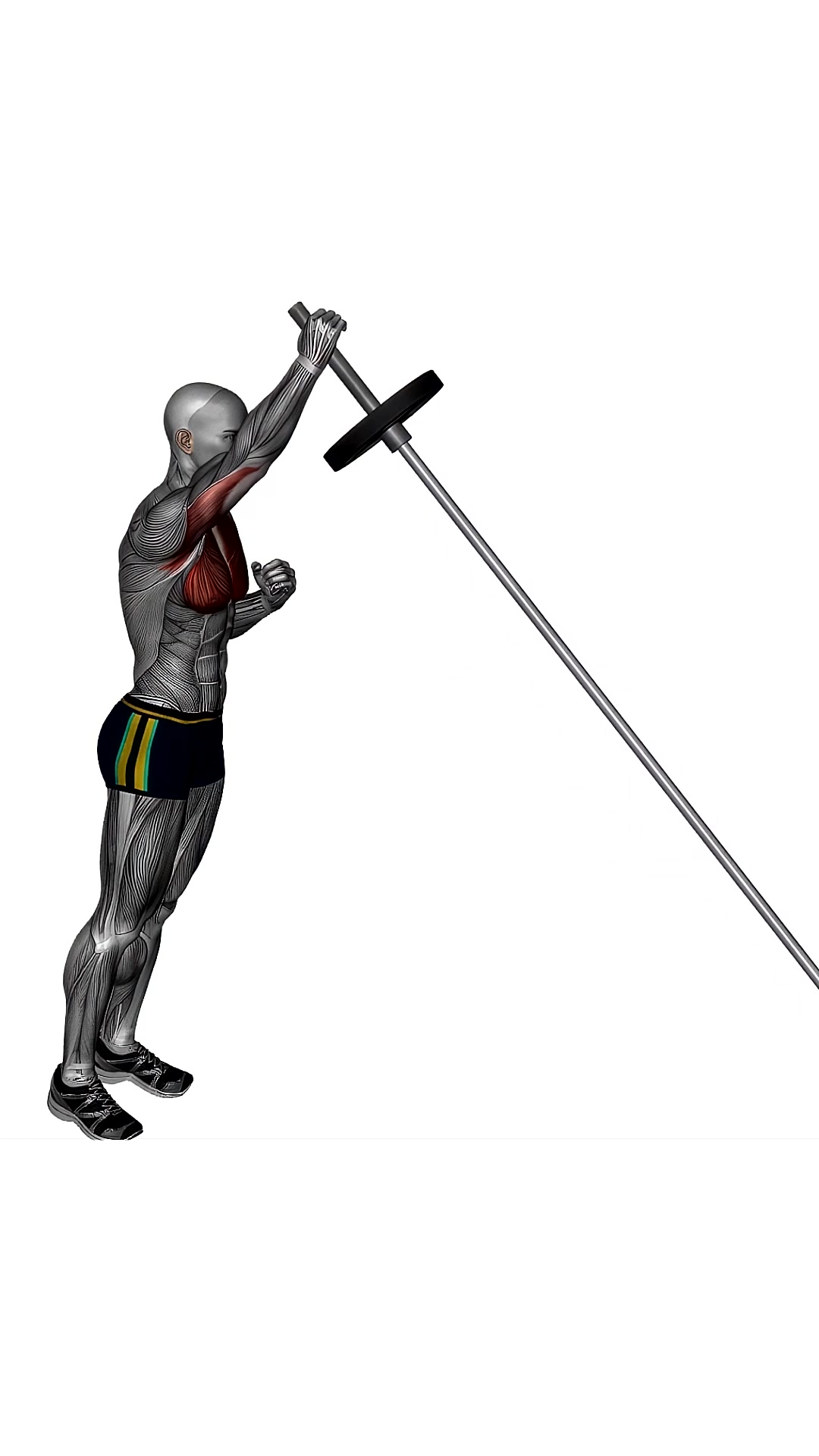 Landmine Chest Press