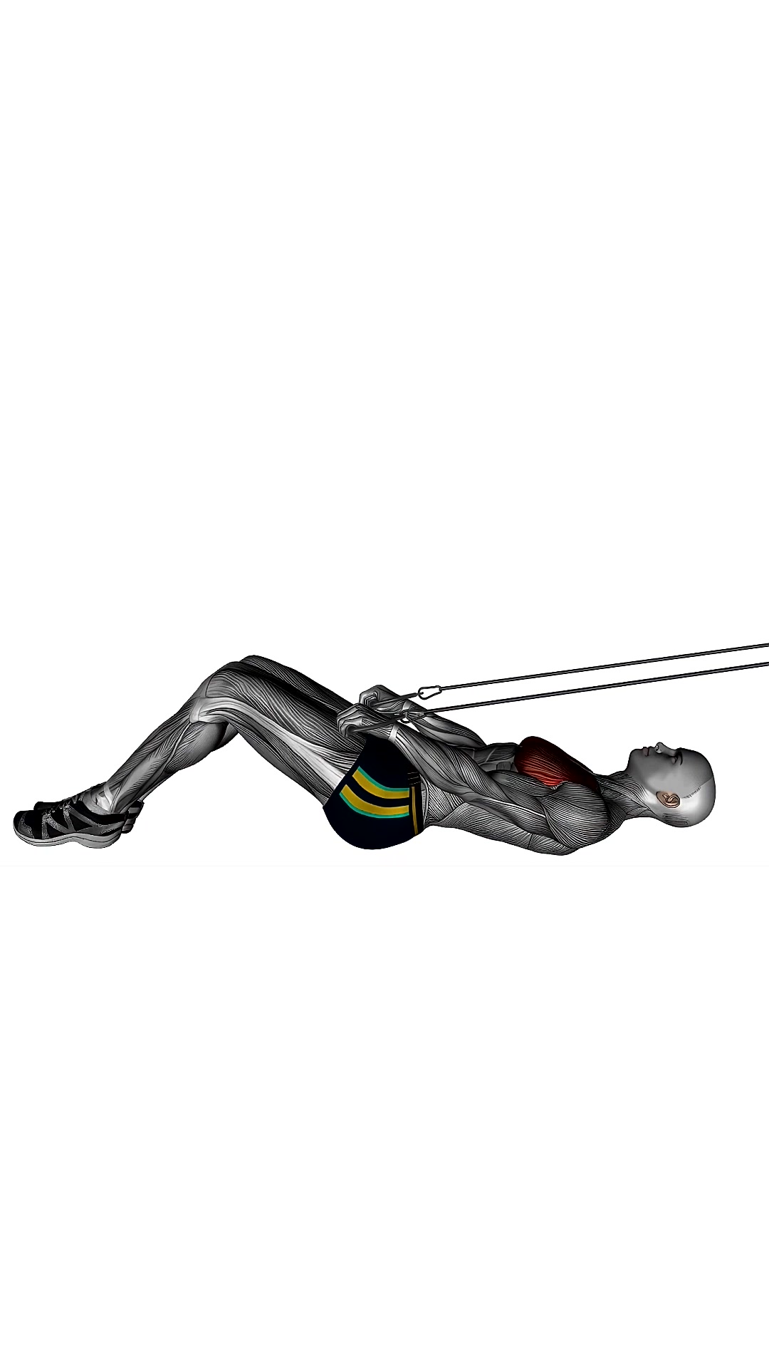 Lying Pull Over With Resistance Band Cable