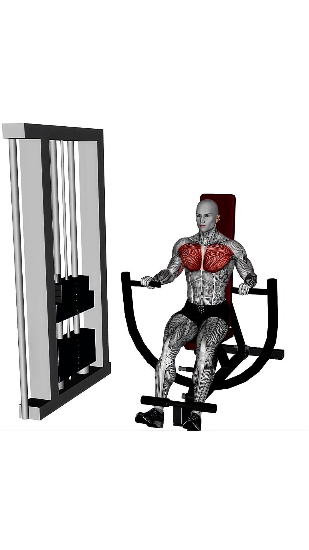 Machine Chest Press Decline