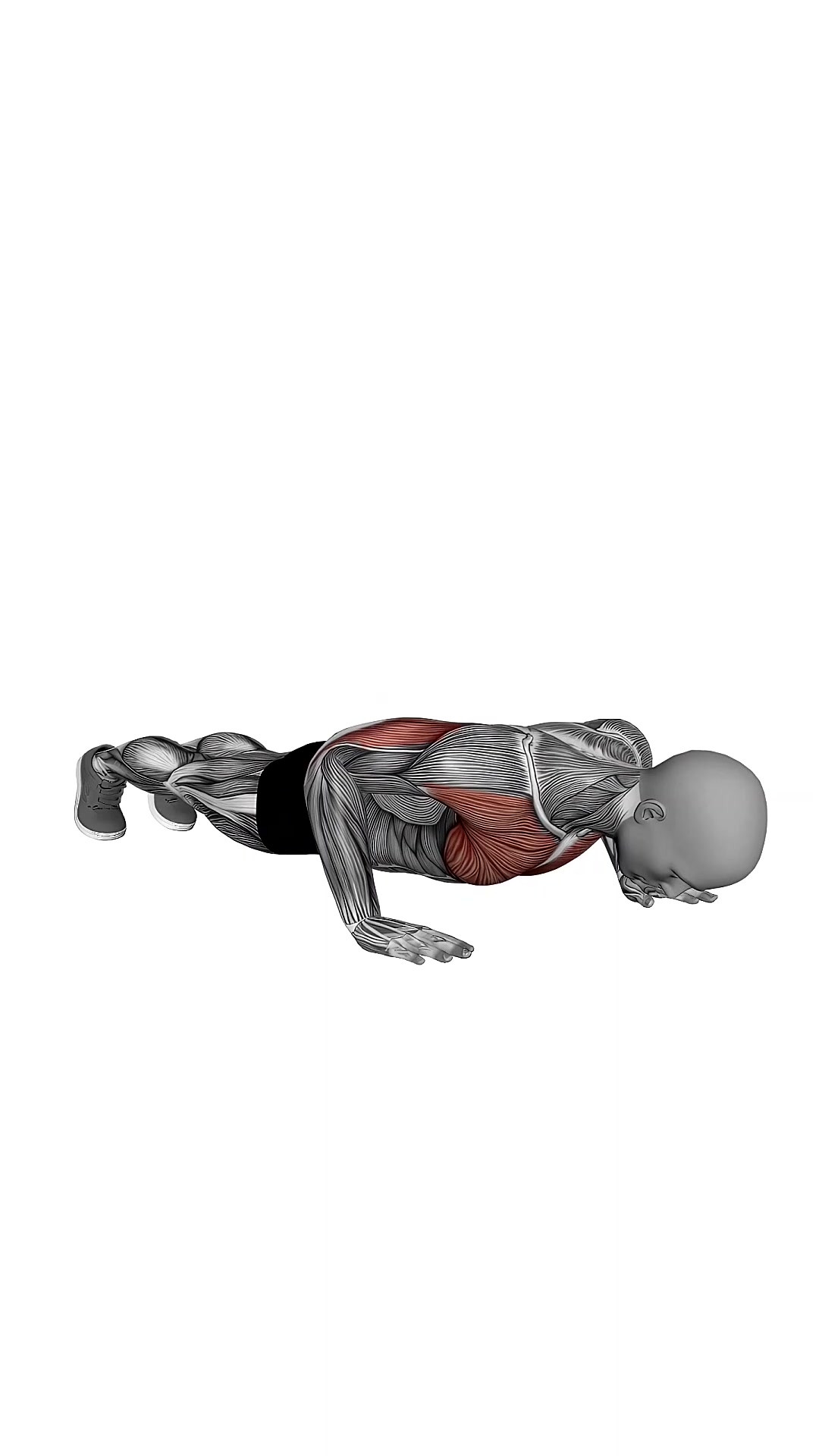 Normal Push-up
