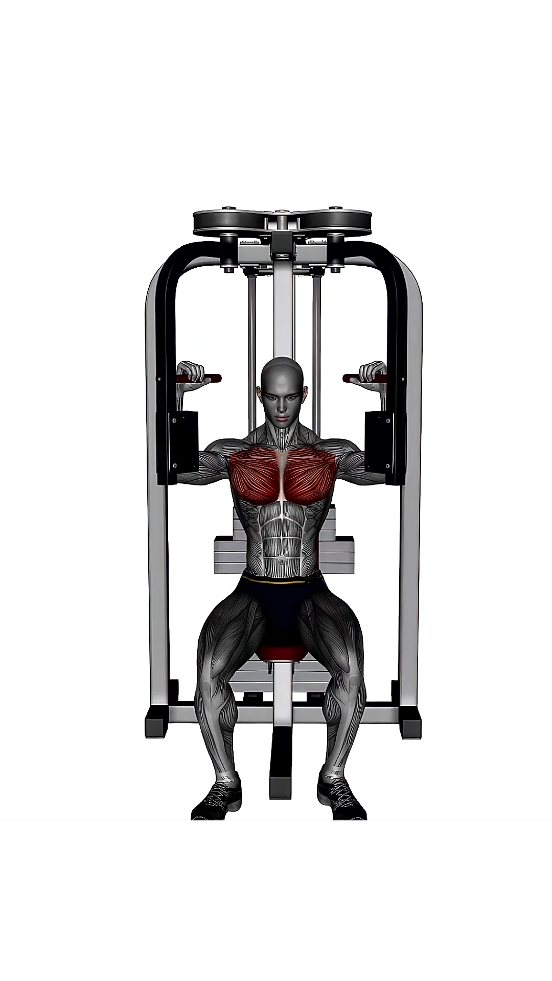Pec Deck Fly Machine