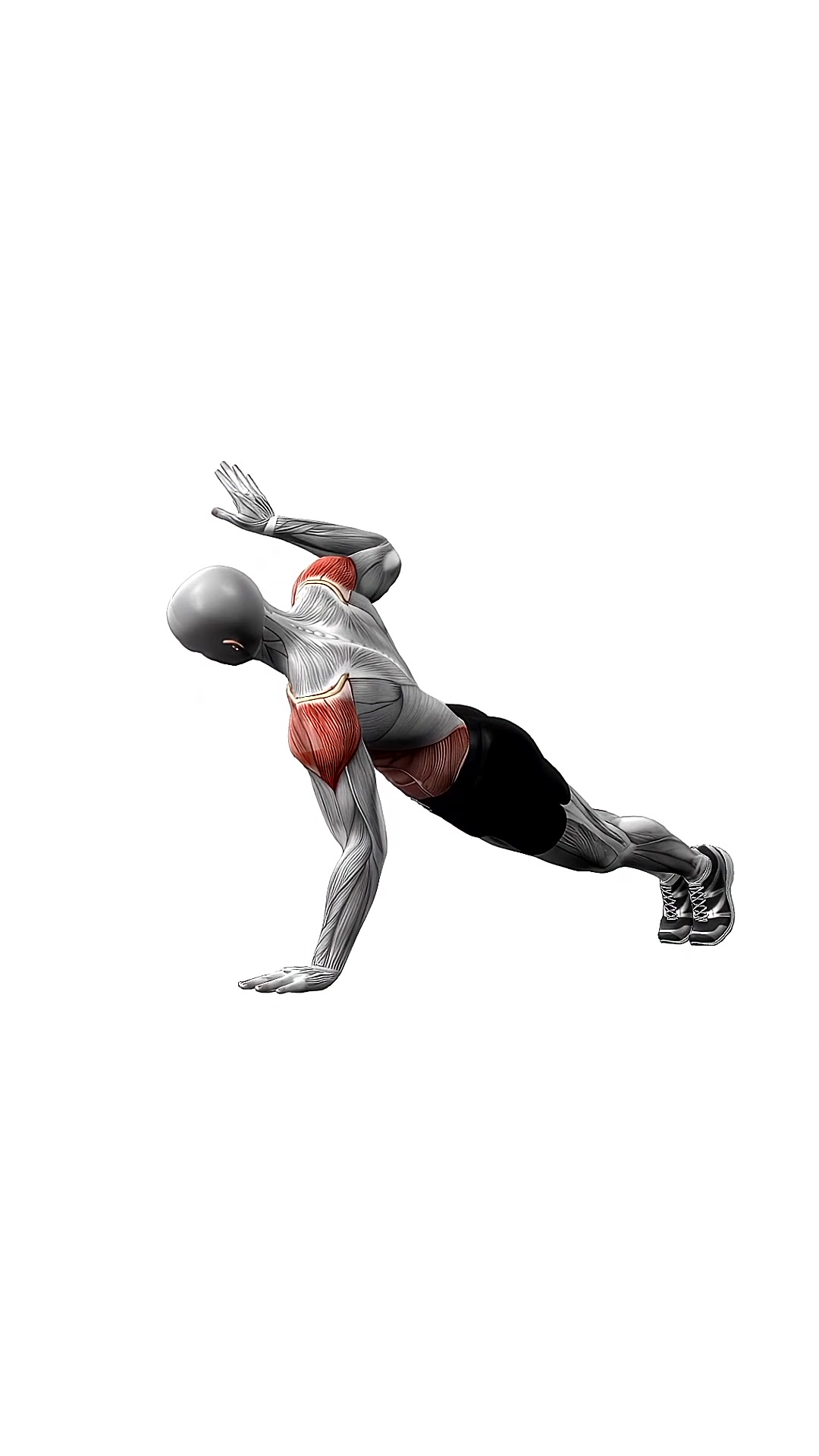 Push Up And Rotation