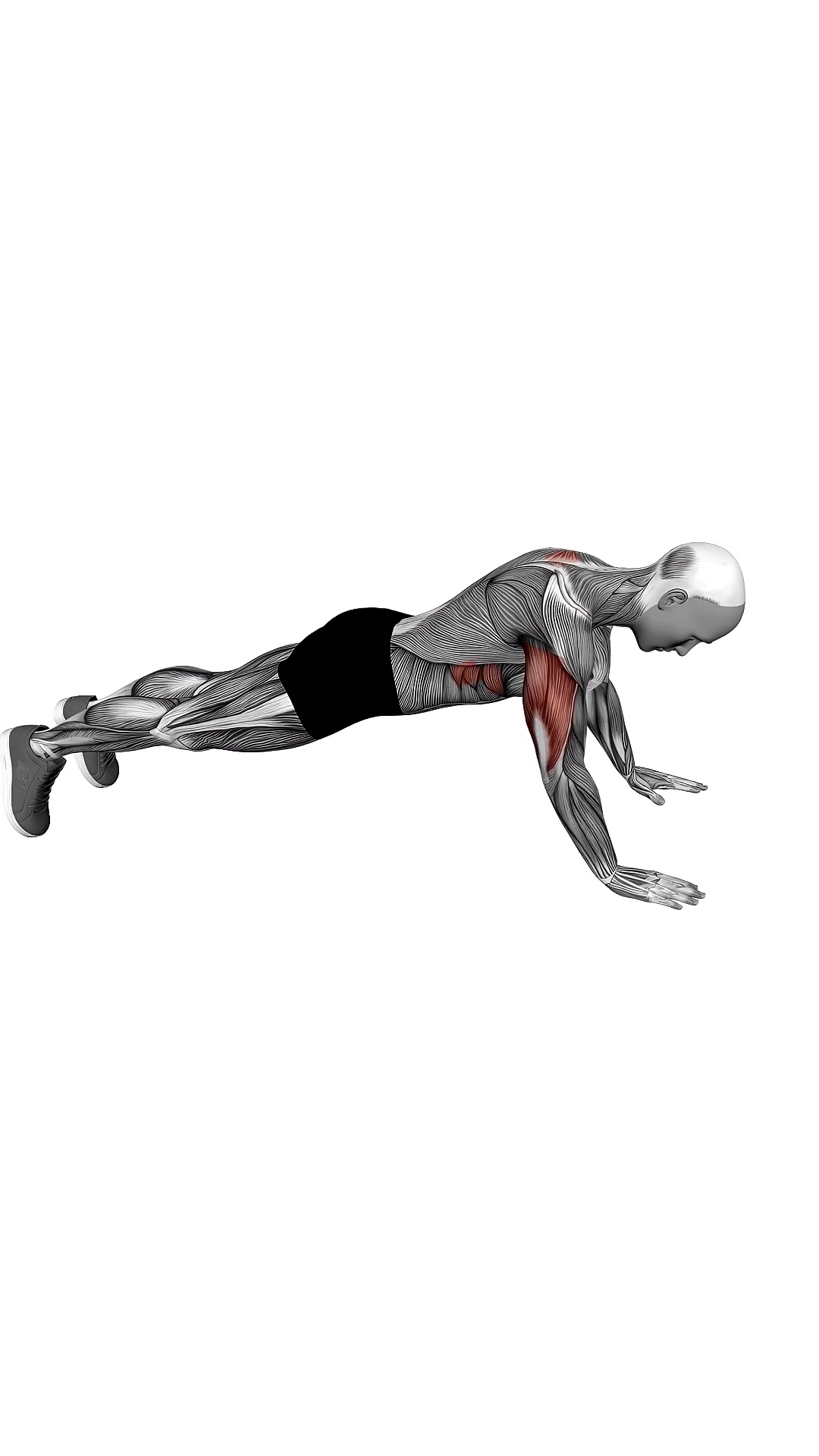 Push Up Plus