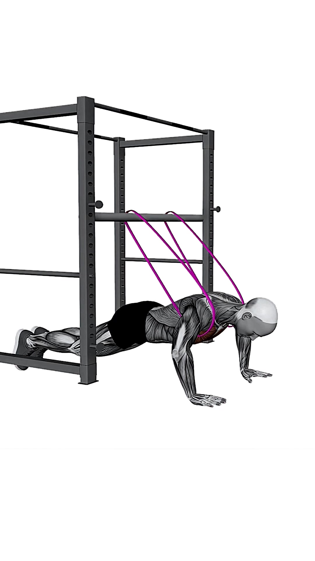 Resistance Band Assisted Push-up