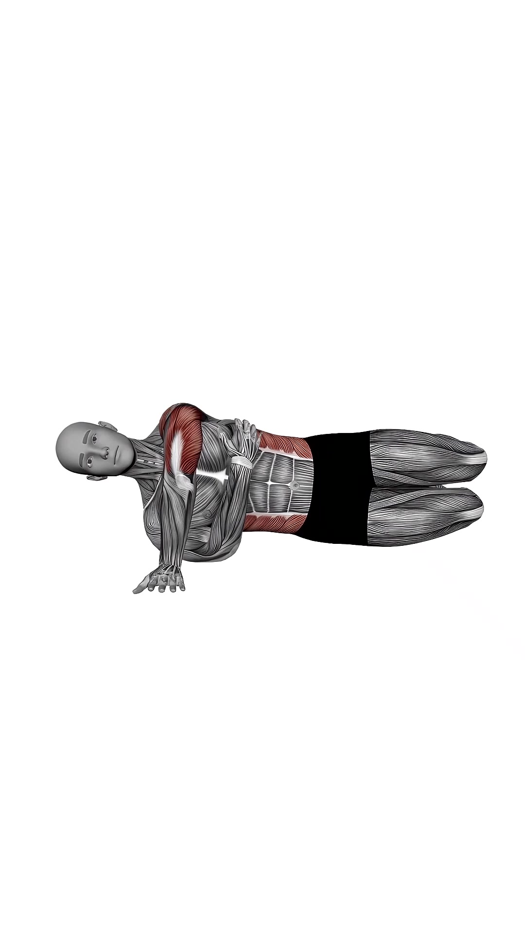 Side Push Up