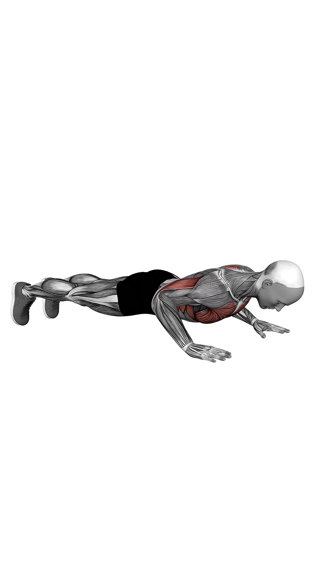Side To Side Push Up