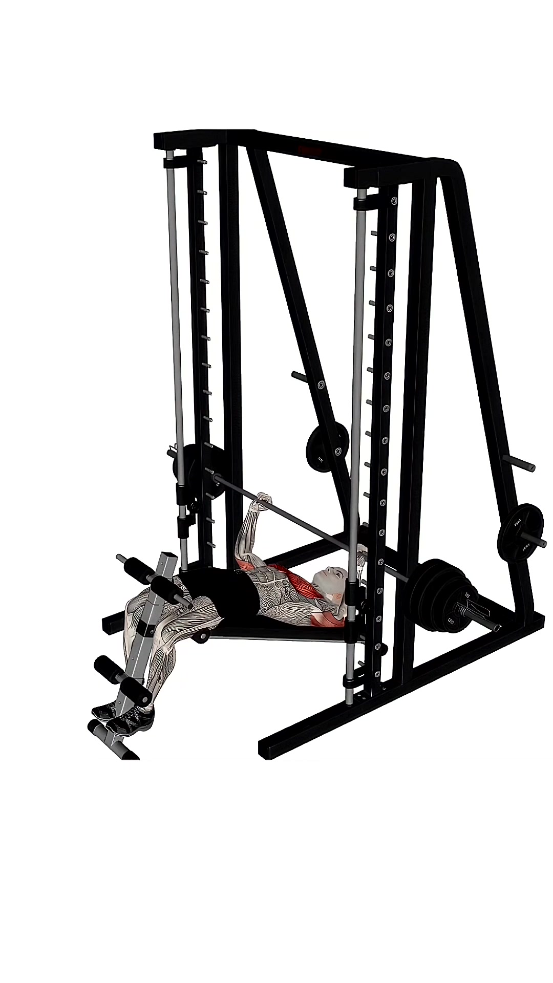 Smith Machine Press Decline