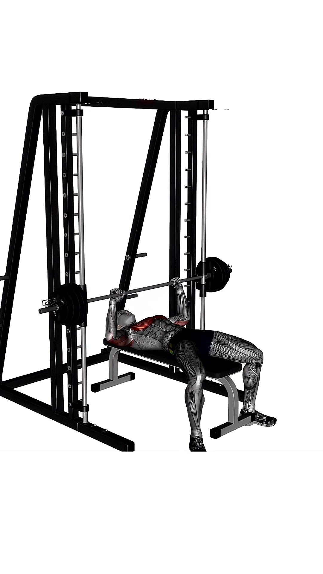Smith Machine Press Flat