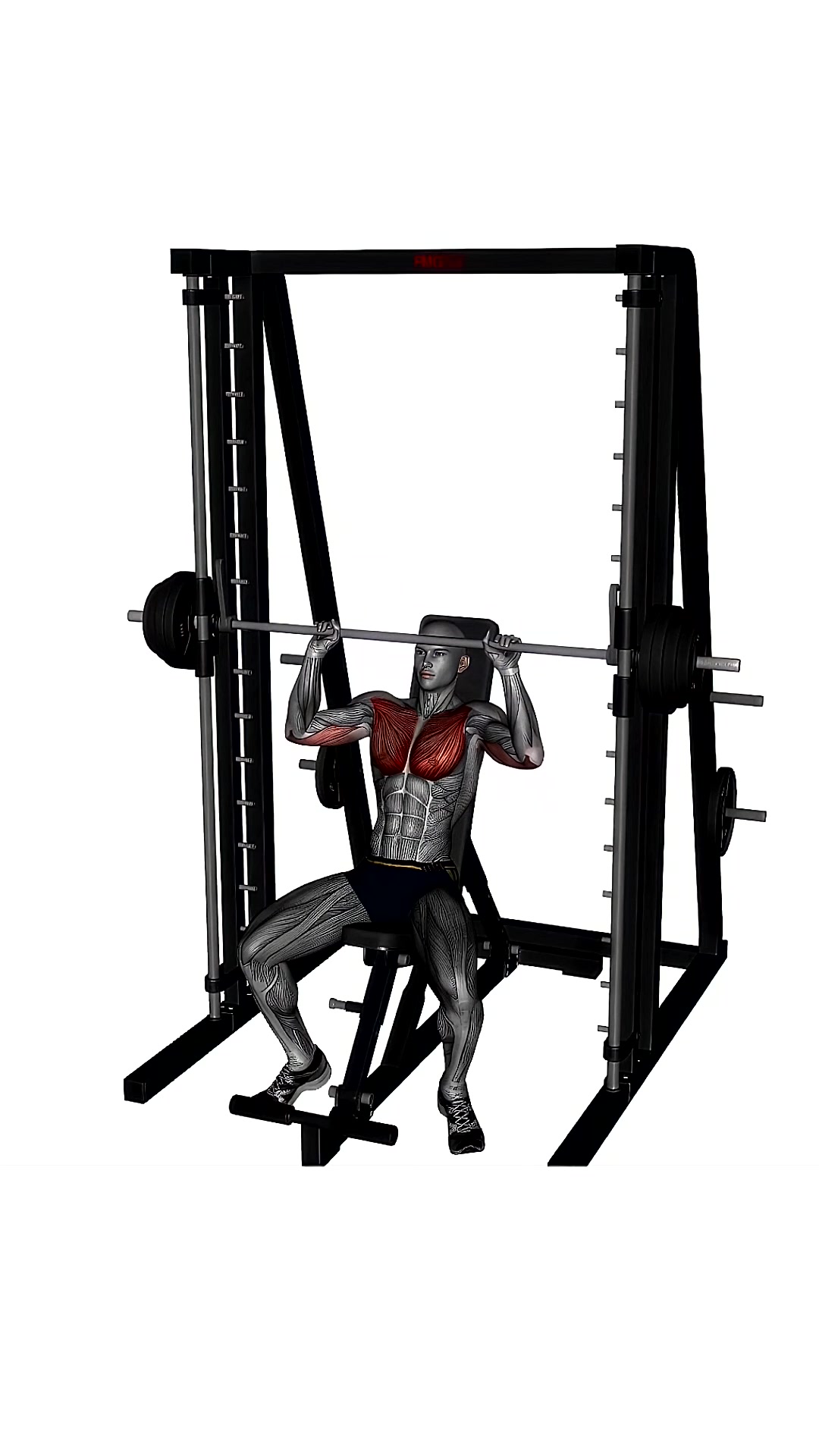 Smith Machine Press Incline