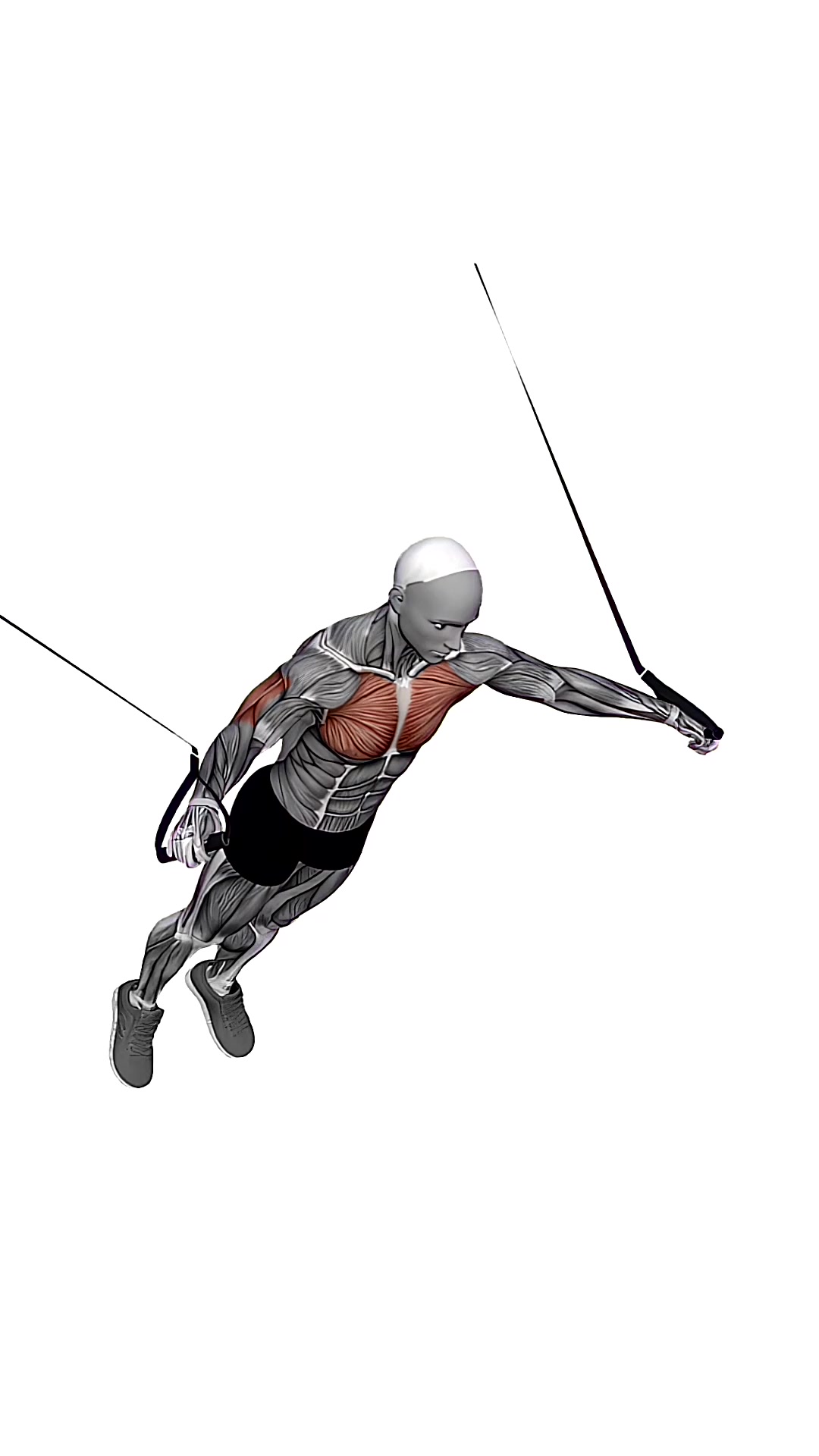 Suspension Trainer With Grips Chest Fly