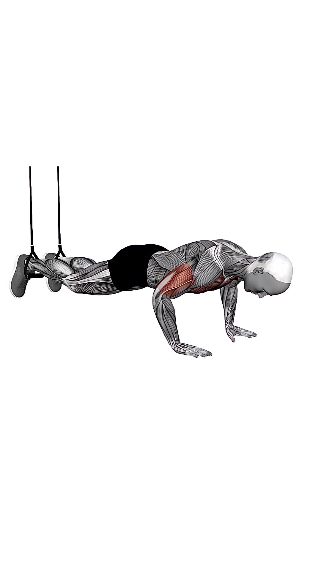 Suspension Trainer With Grips Decline Push-up