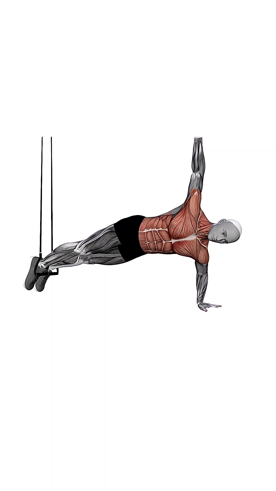 Suspension Trainer With Grips Push-up To Side Plank