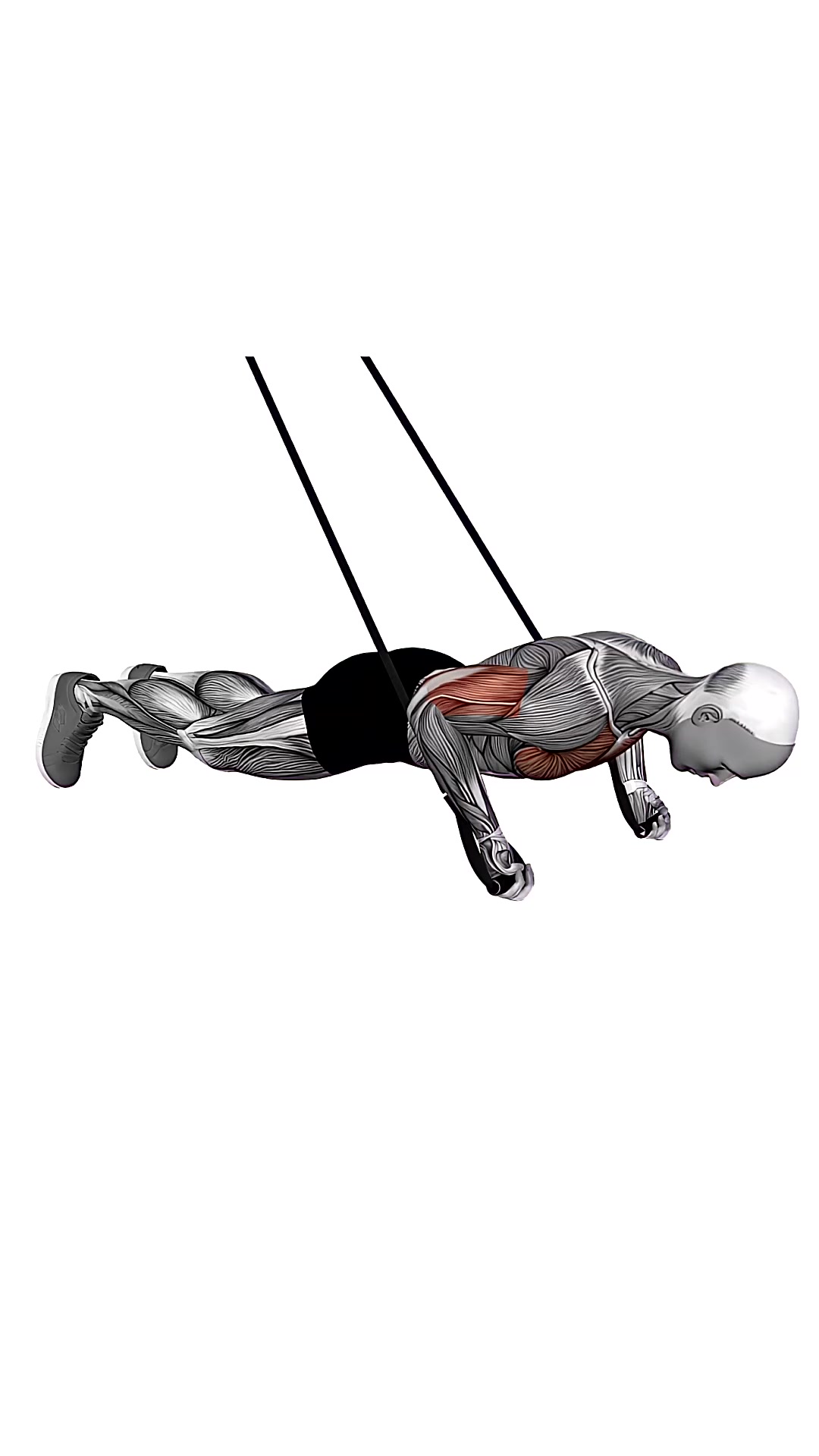 Suspension Trainer With Grips Reverse Push-up