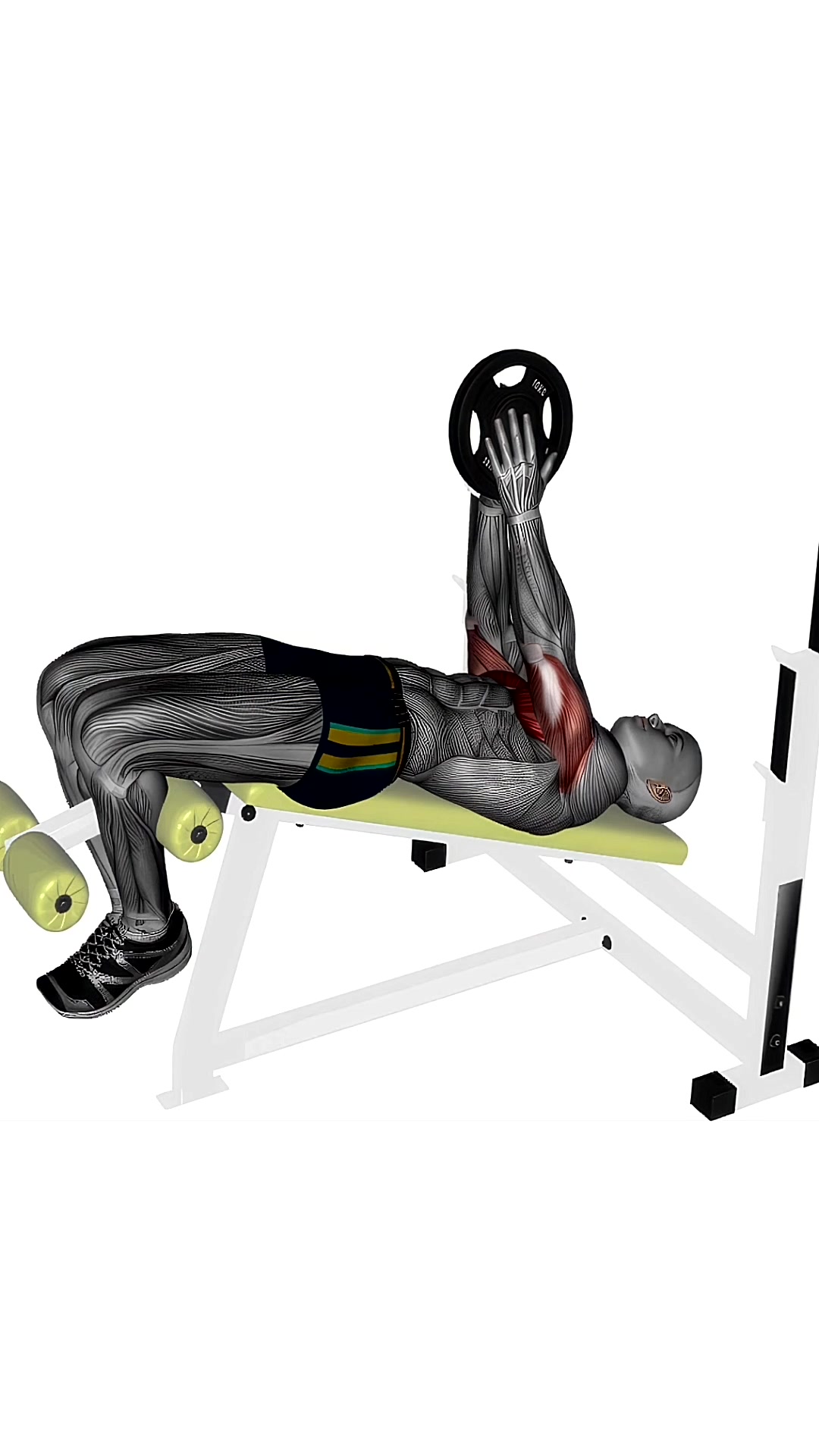 Svend Press Decline Bench