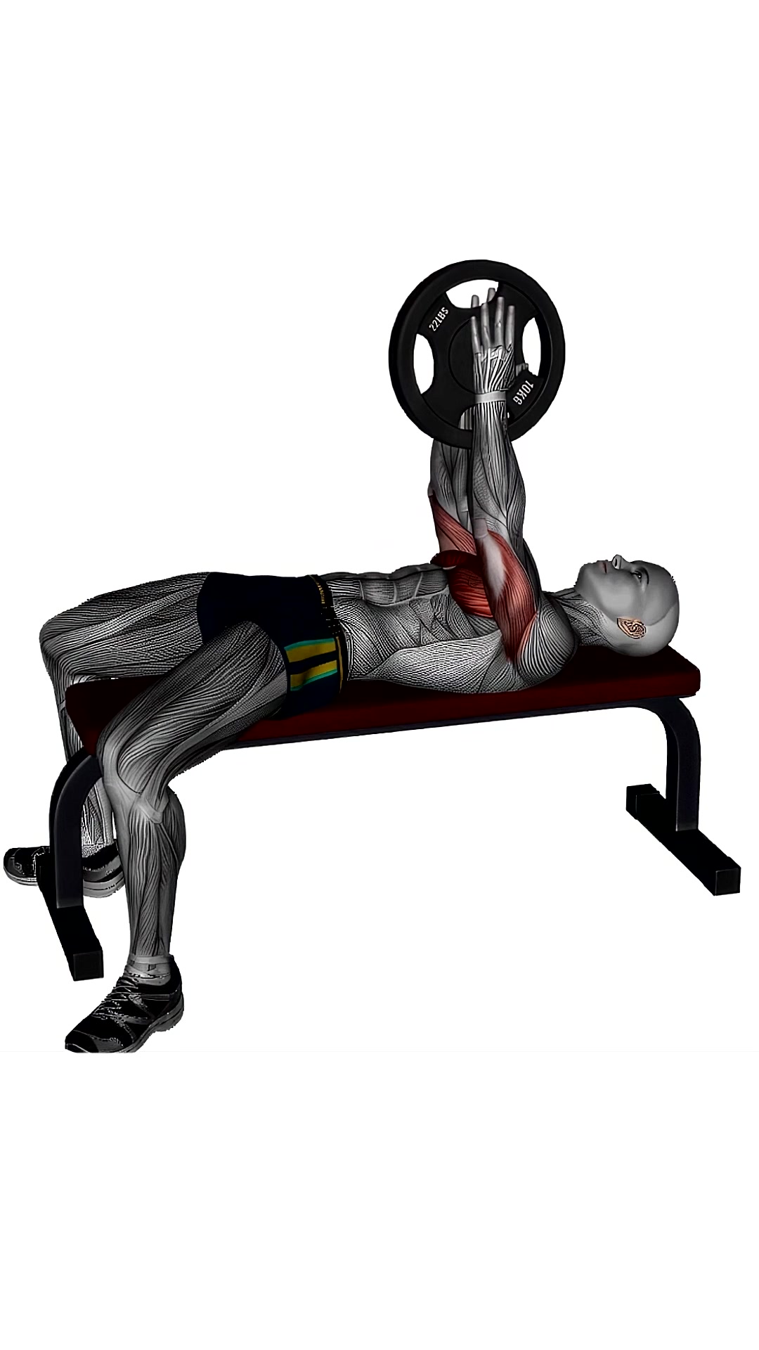 Svend Press Flat Bench