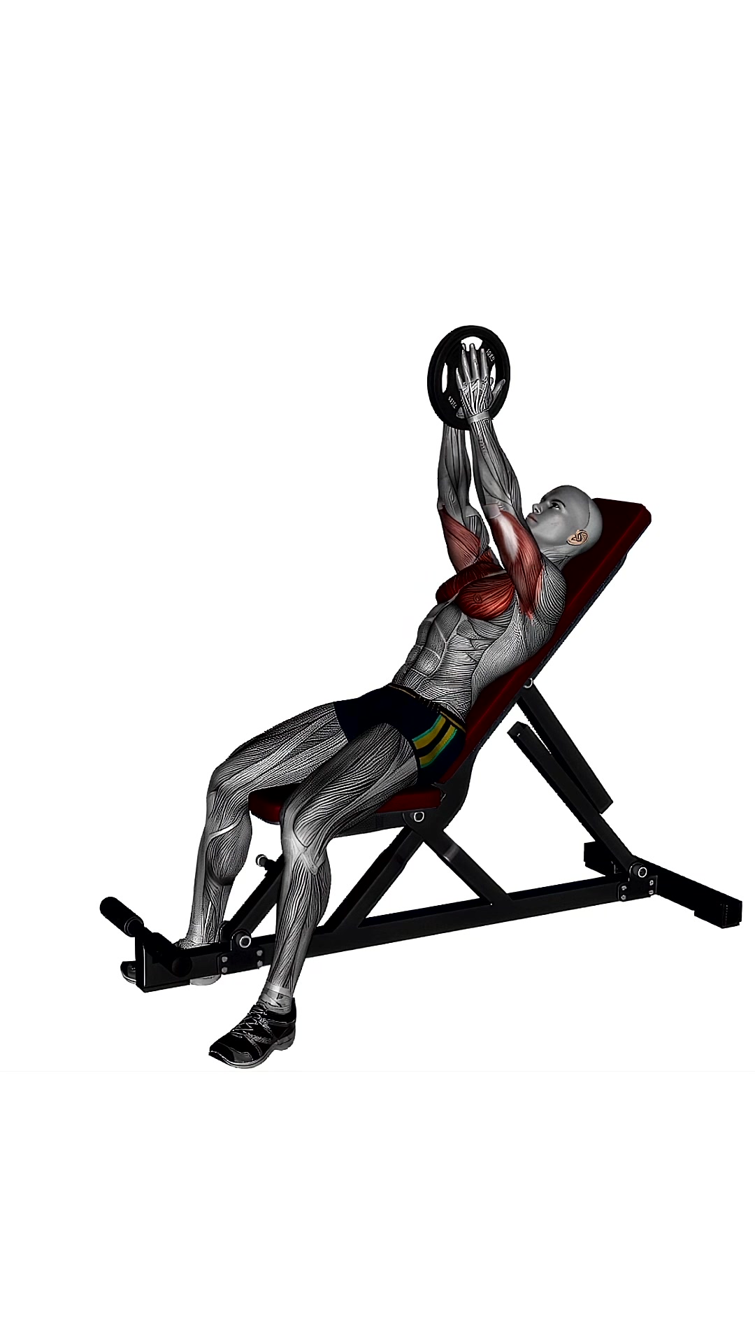 Svend Press Incline Bench
