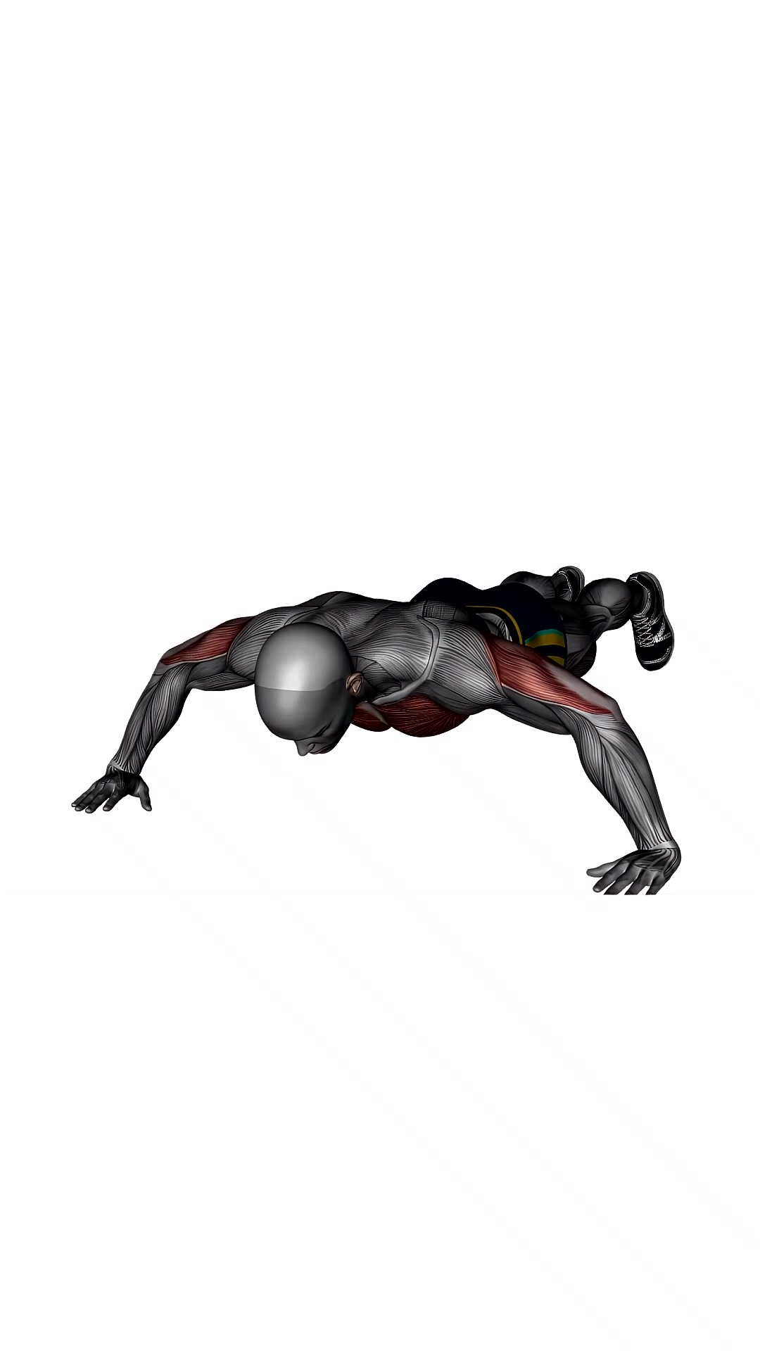 Wide Push Ups Bodyweight