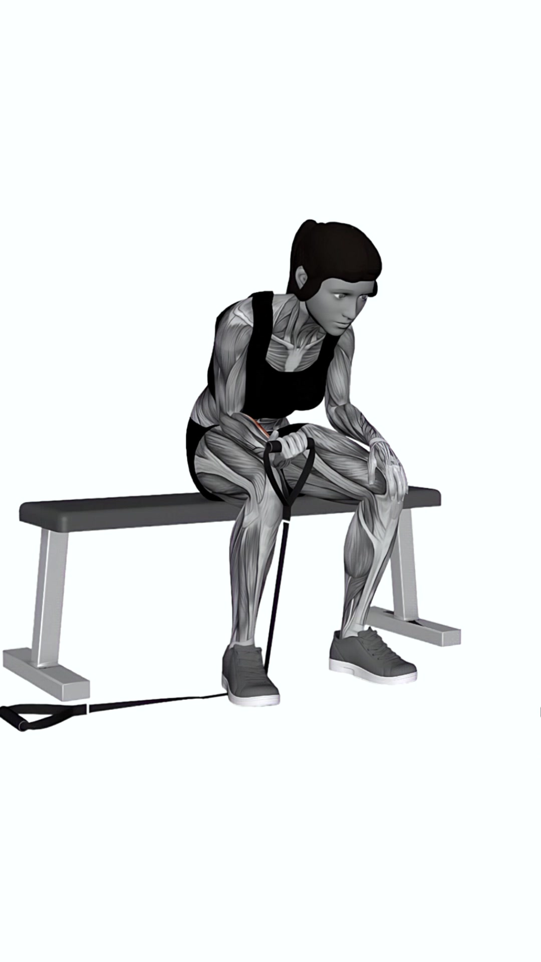 Band Wrist Curl Single Arm