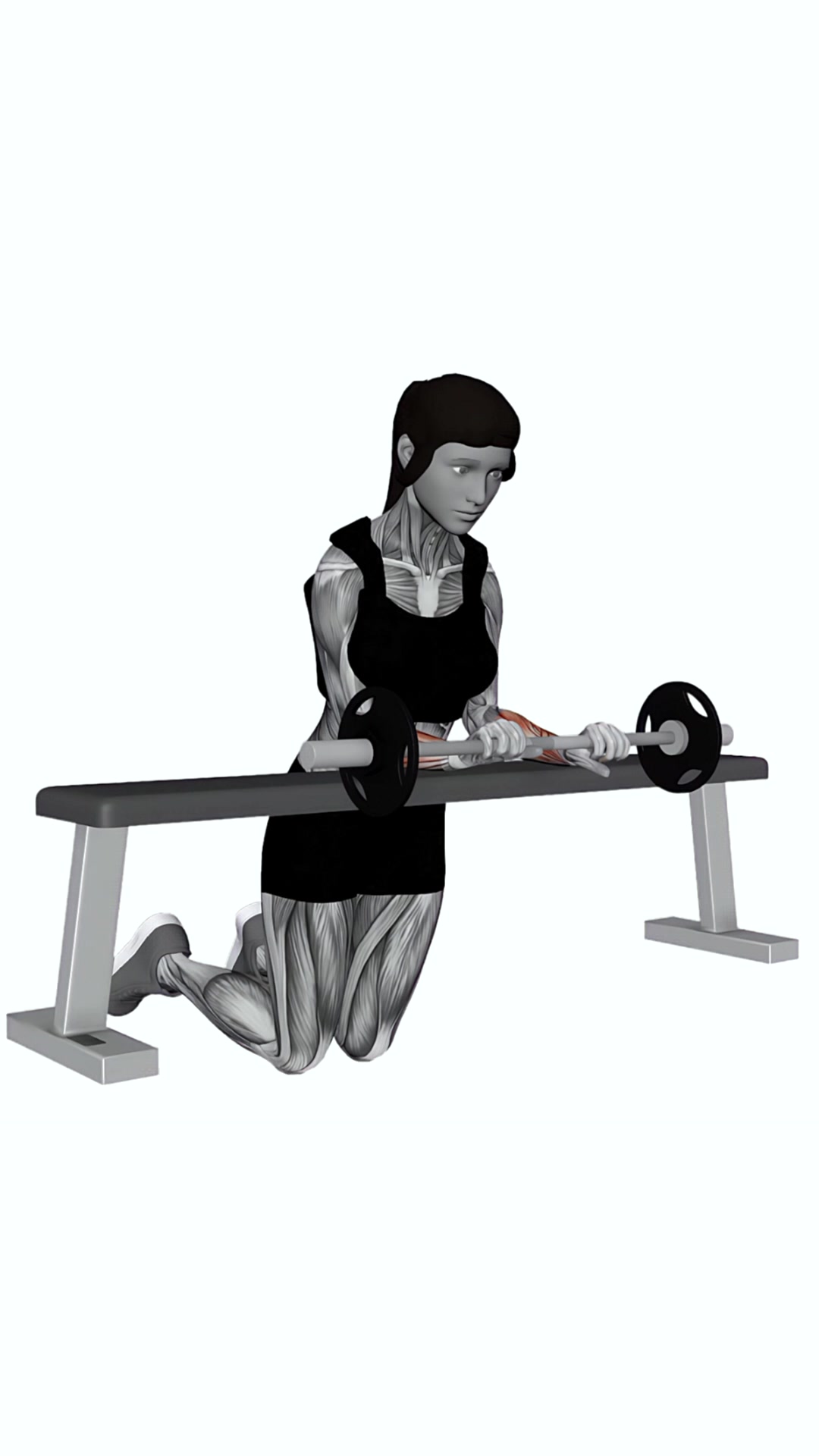 Barbell Palm Down Wrist Curl Over A Bench