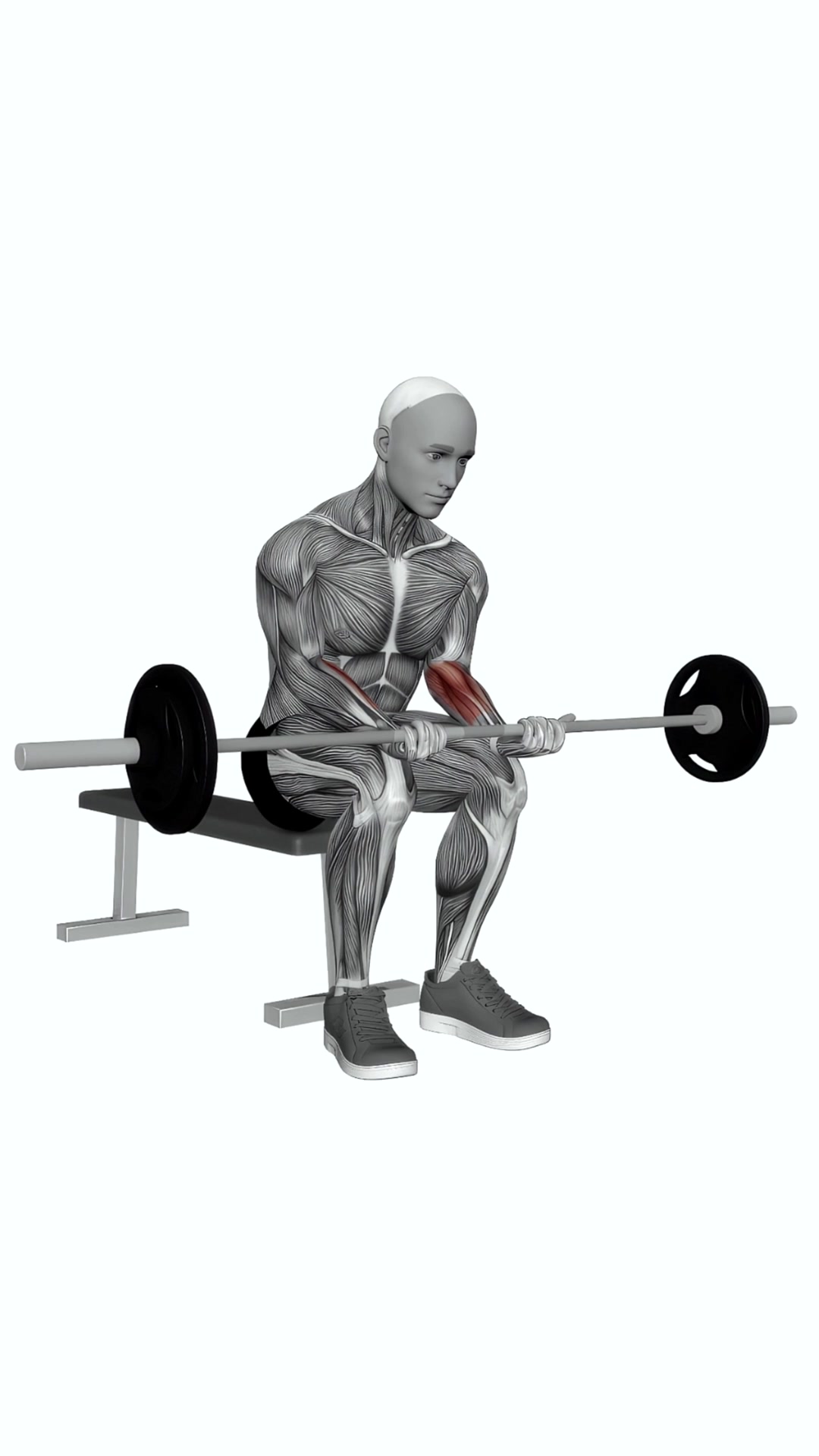 Barbell Wrist Curl On Knees