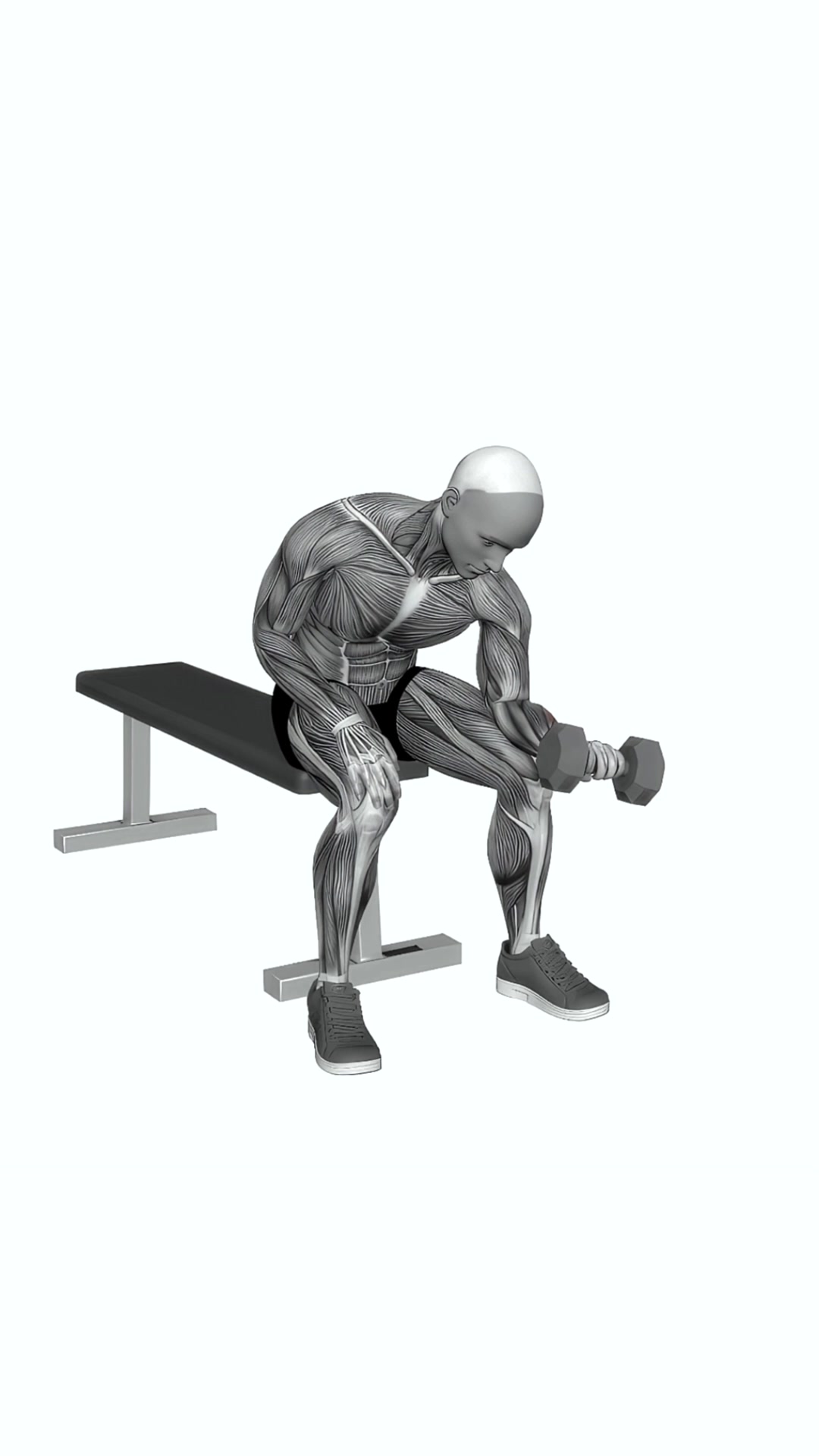 Dumbbell One Arm Reverse Wrist Curl