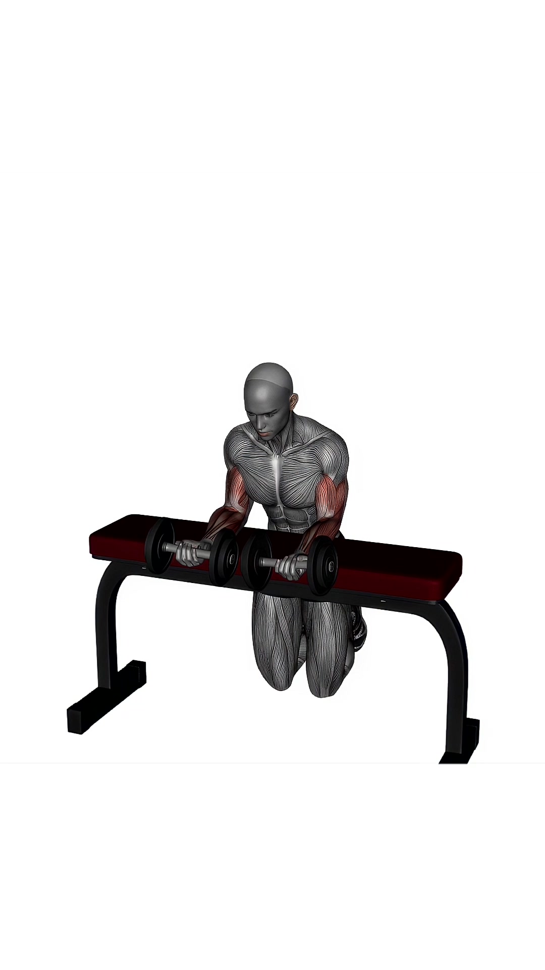 Wrist Curl Dumbbell