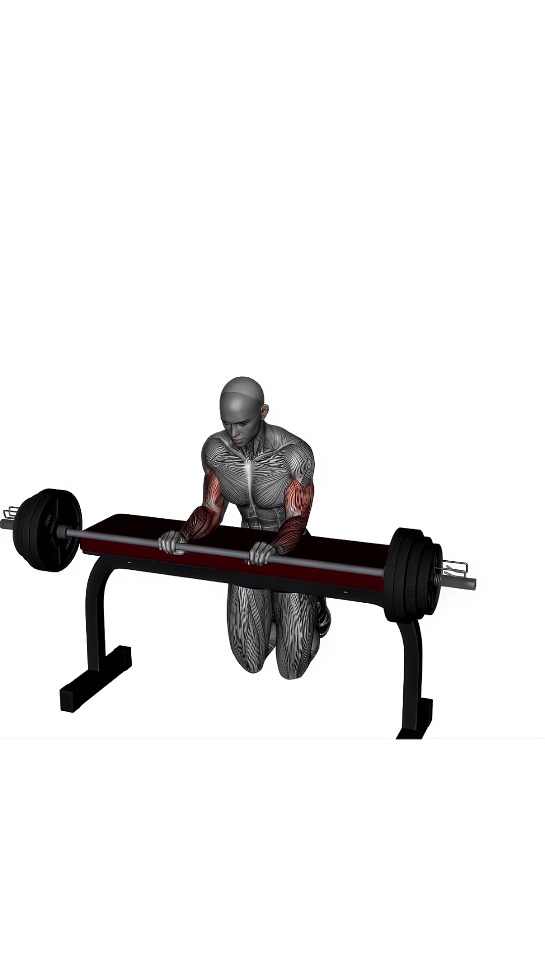 Wrist Extension Barbell
