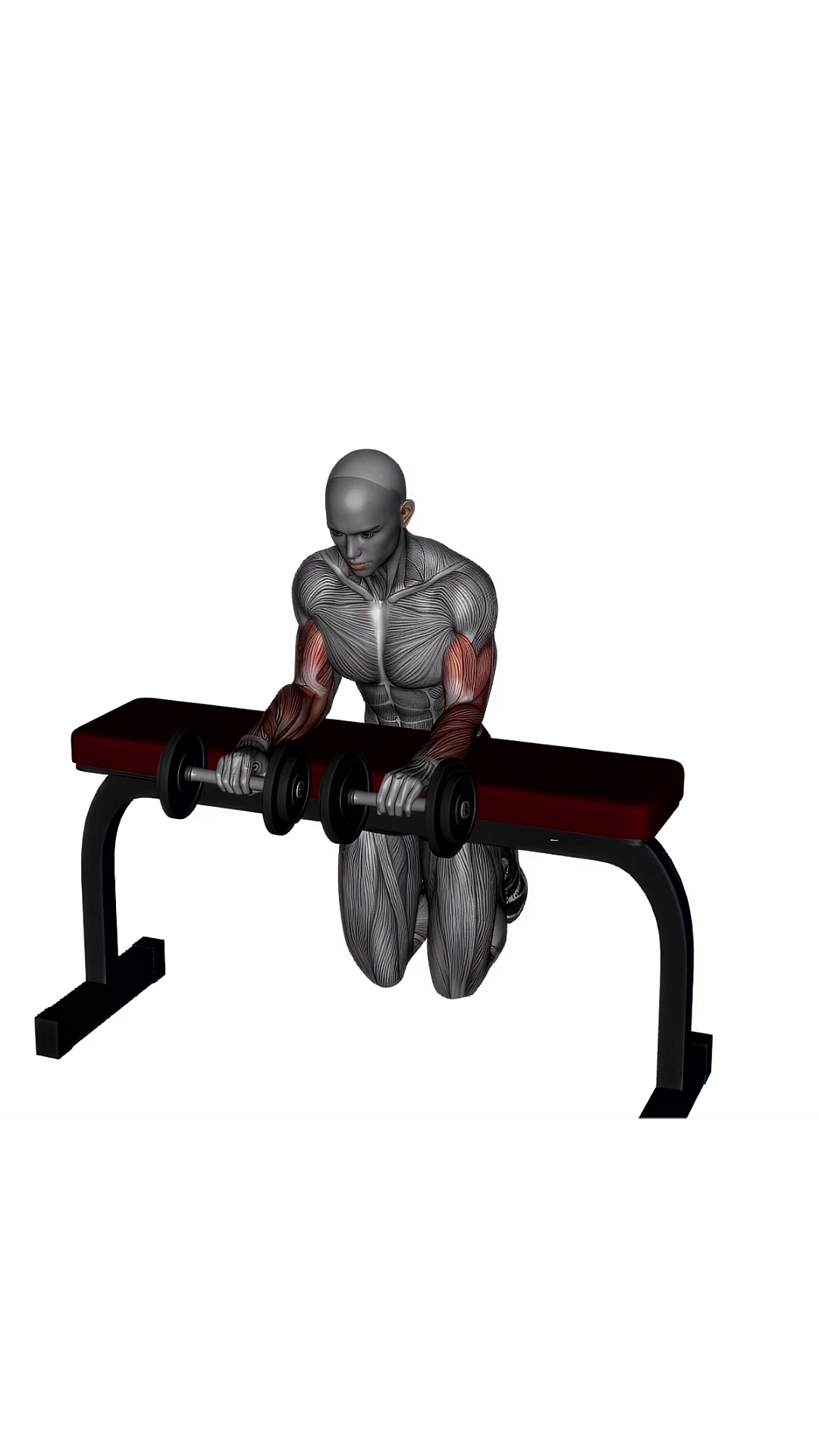 Wrist Extension Dumbbell
