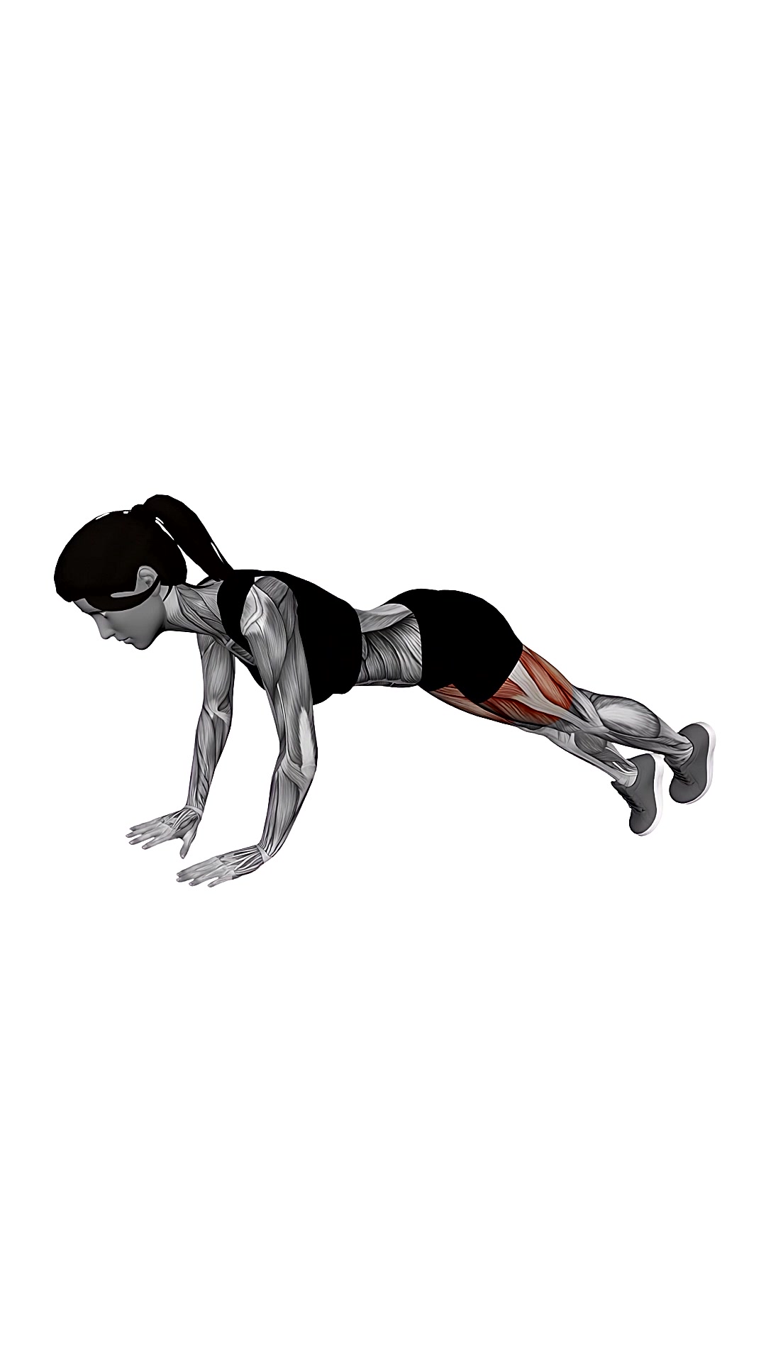 Alternate Single Leg Raise Plank
