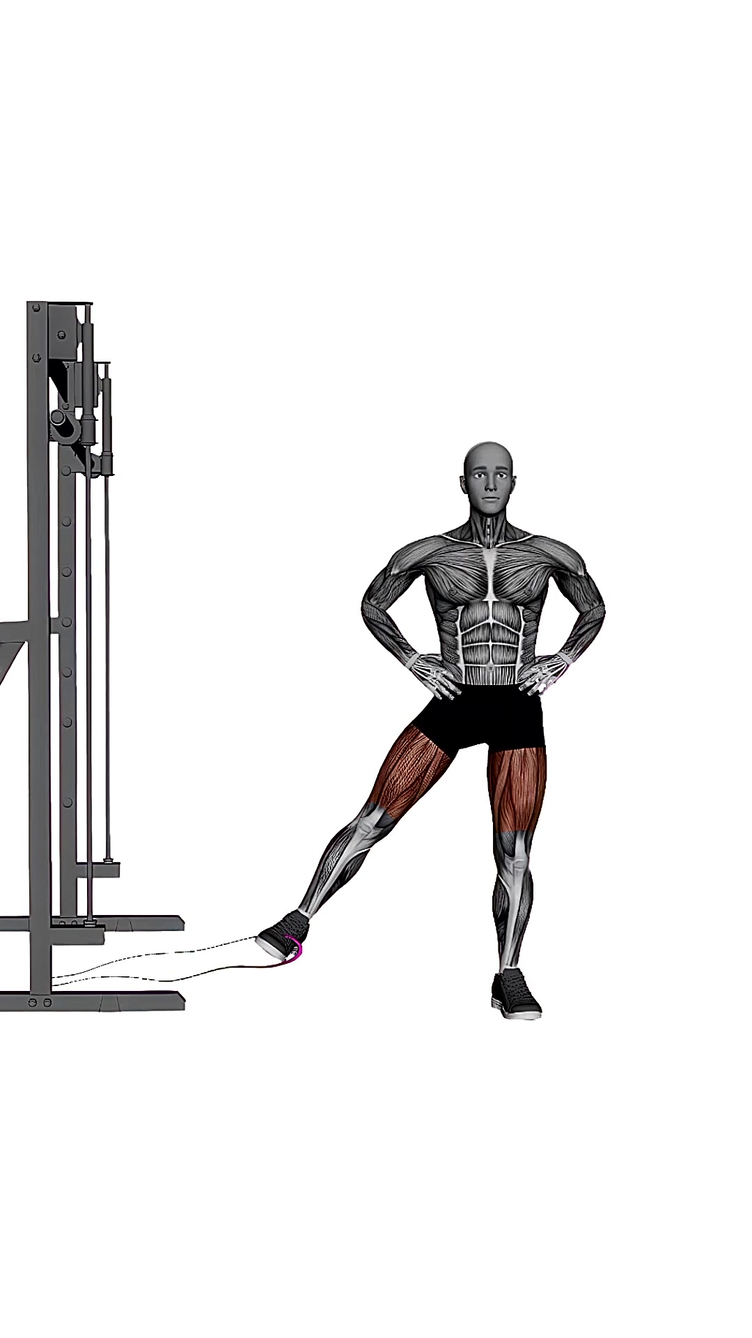 Band Hip Adduction