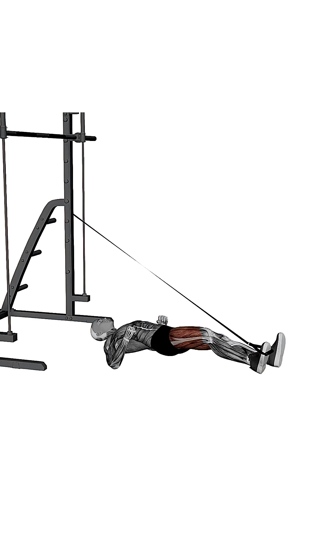 Band Leg Press