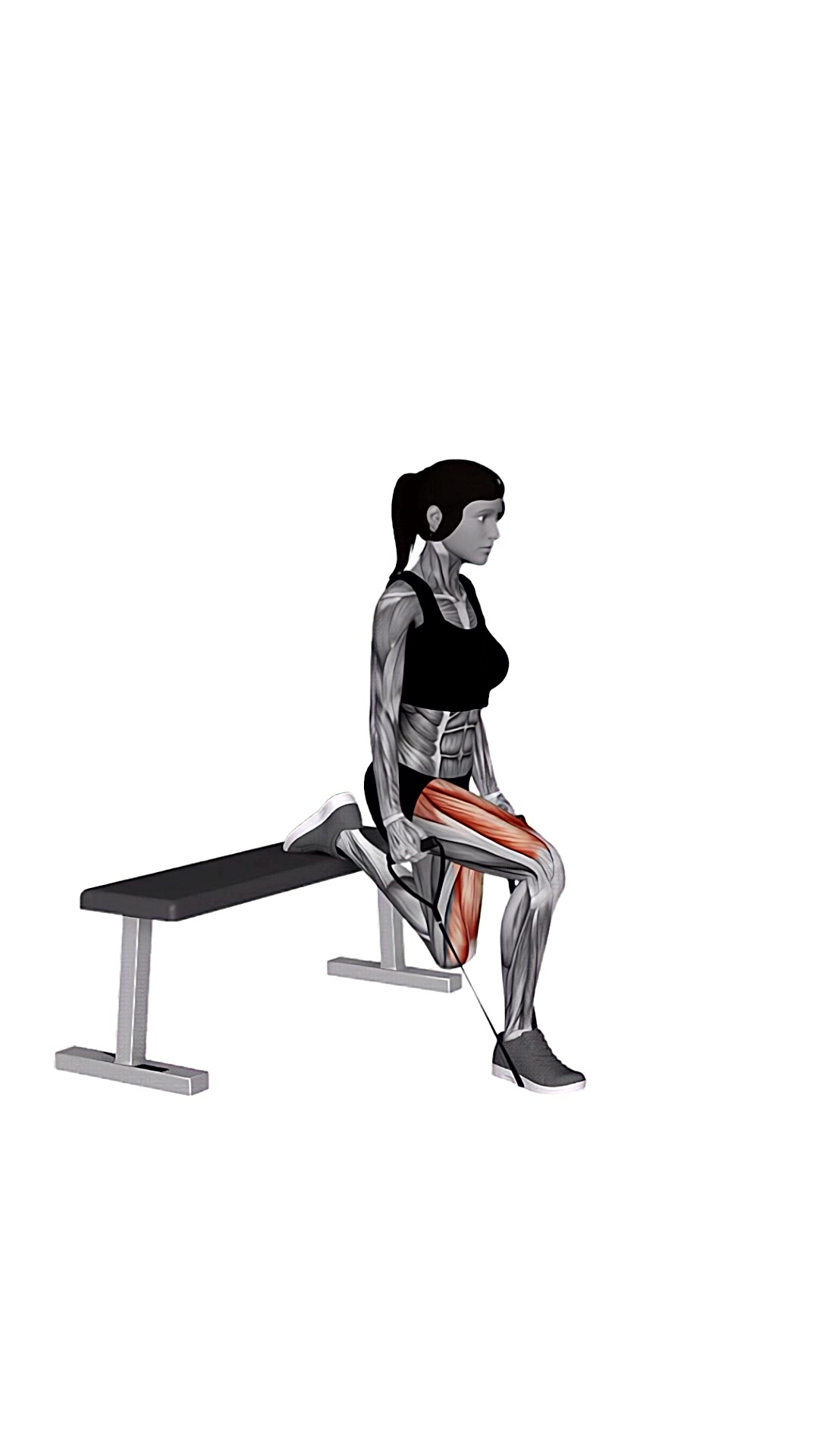 Band Single Leg Split Squat
