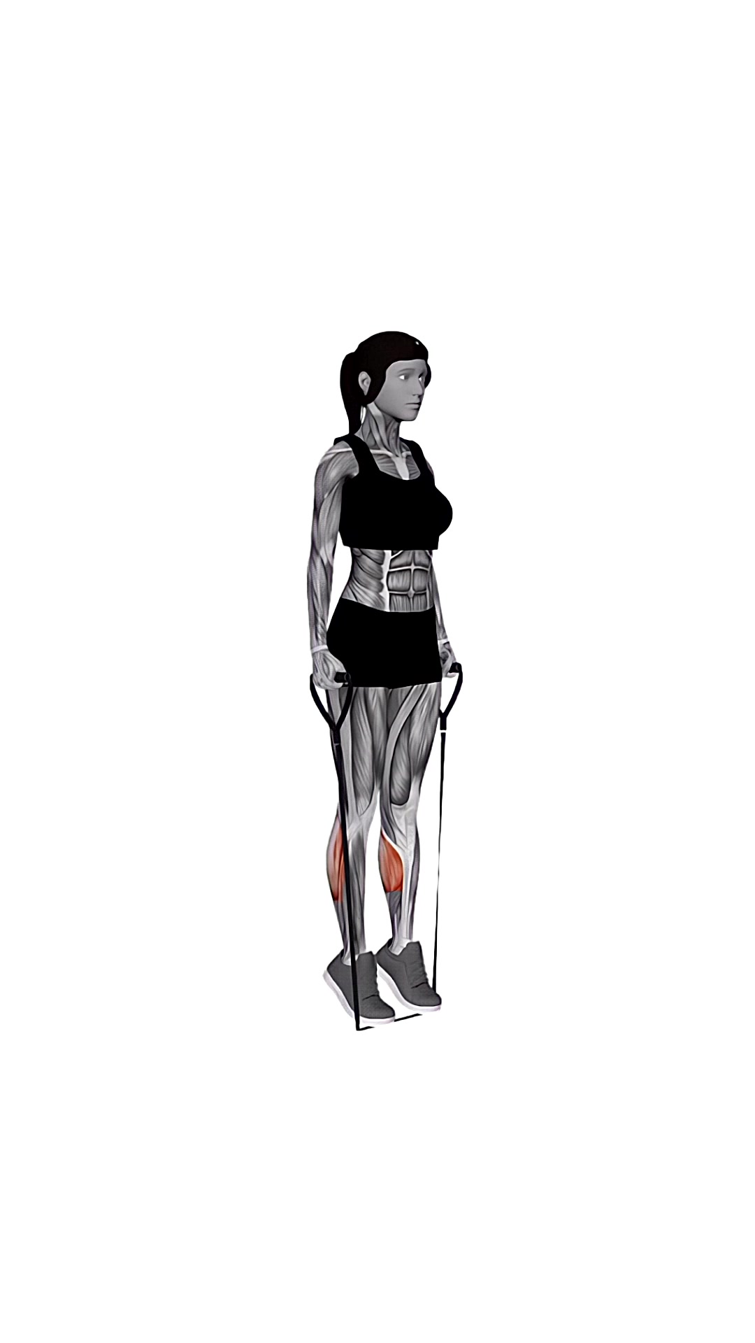 Band Two Legs Calf Raise - (band Under Both Legs) Version 2