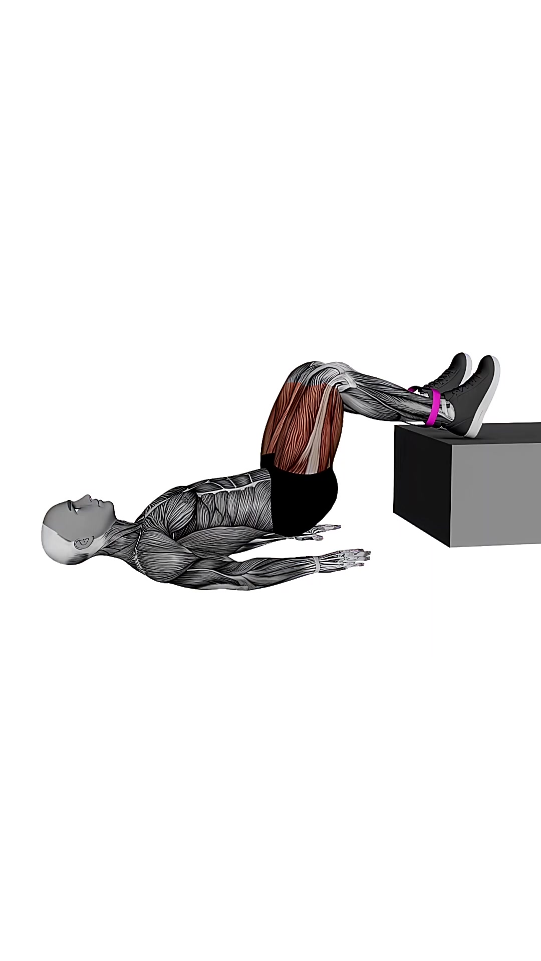 Banded Feet Elevated Hip Thrusters