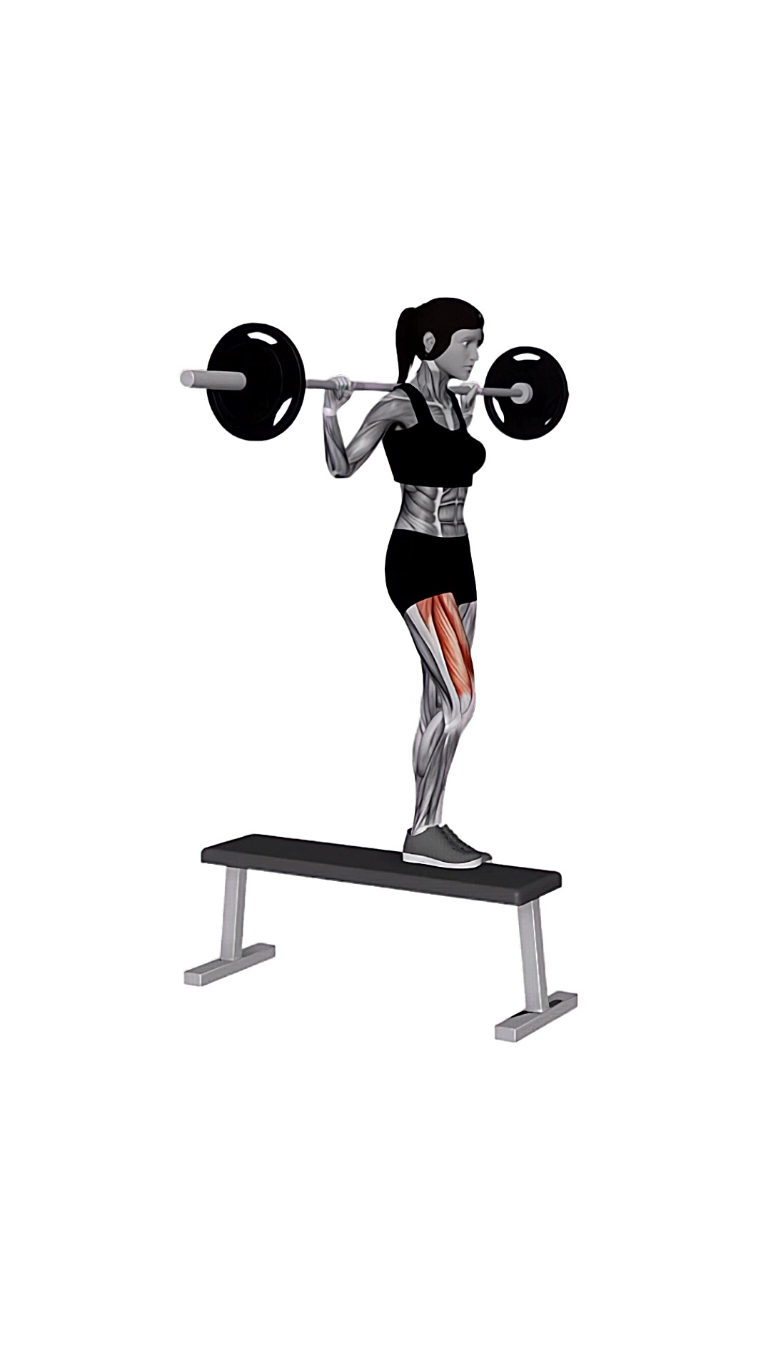 Barbell Bench Lateral Step-up